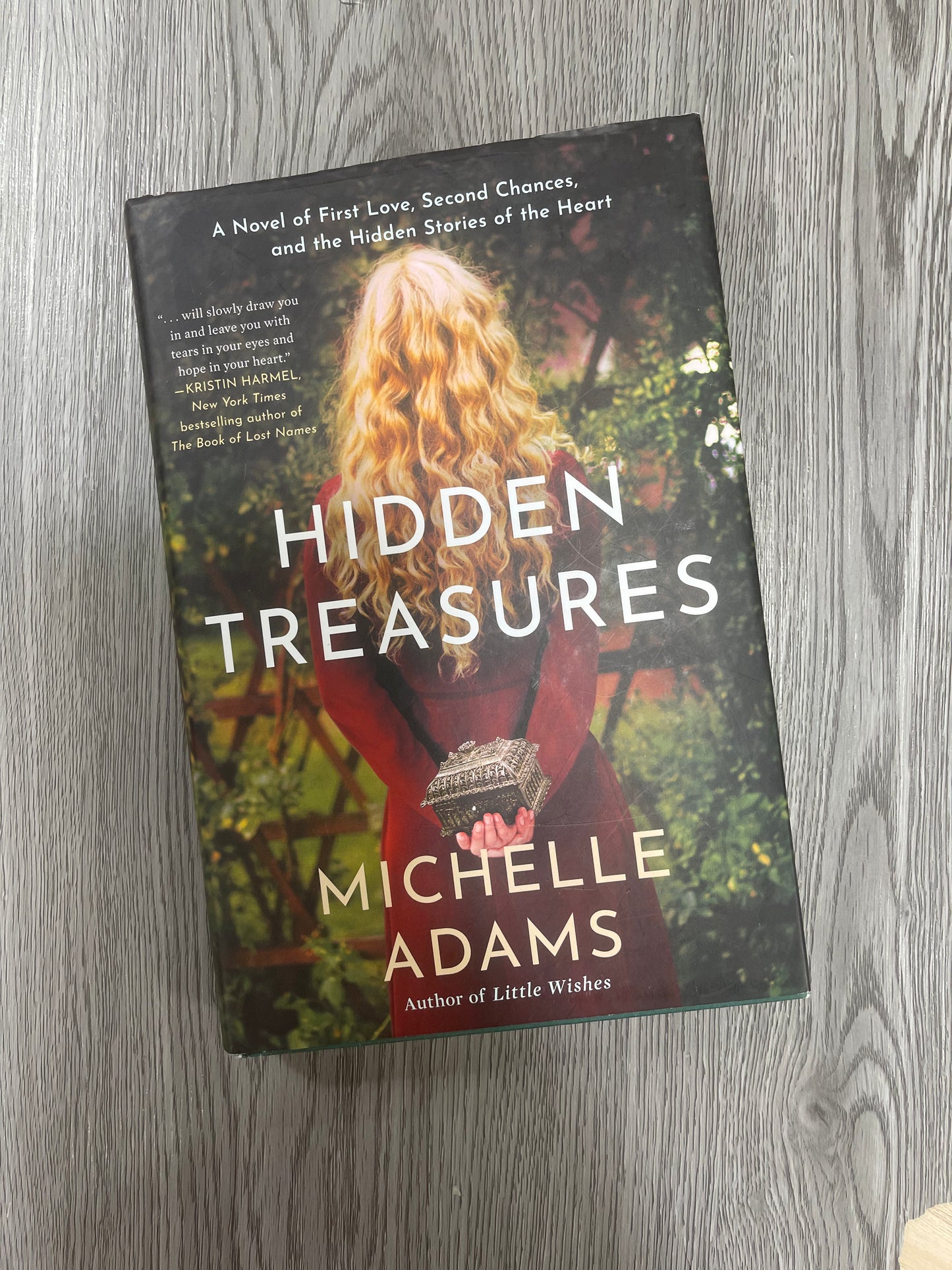Hidden Treasures by Michelle Adams-Hardcover Used