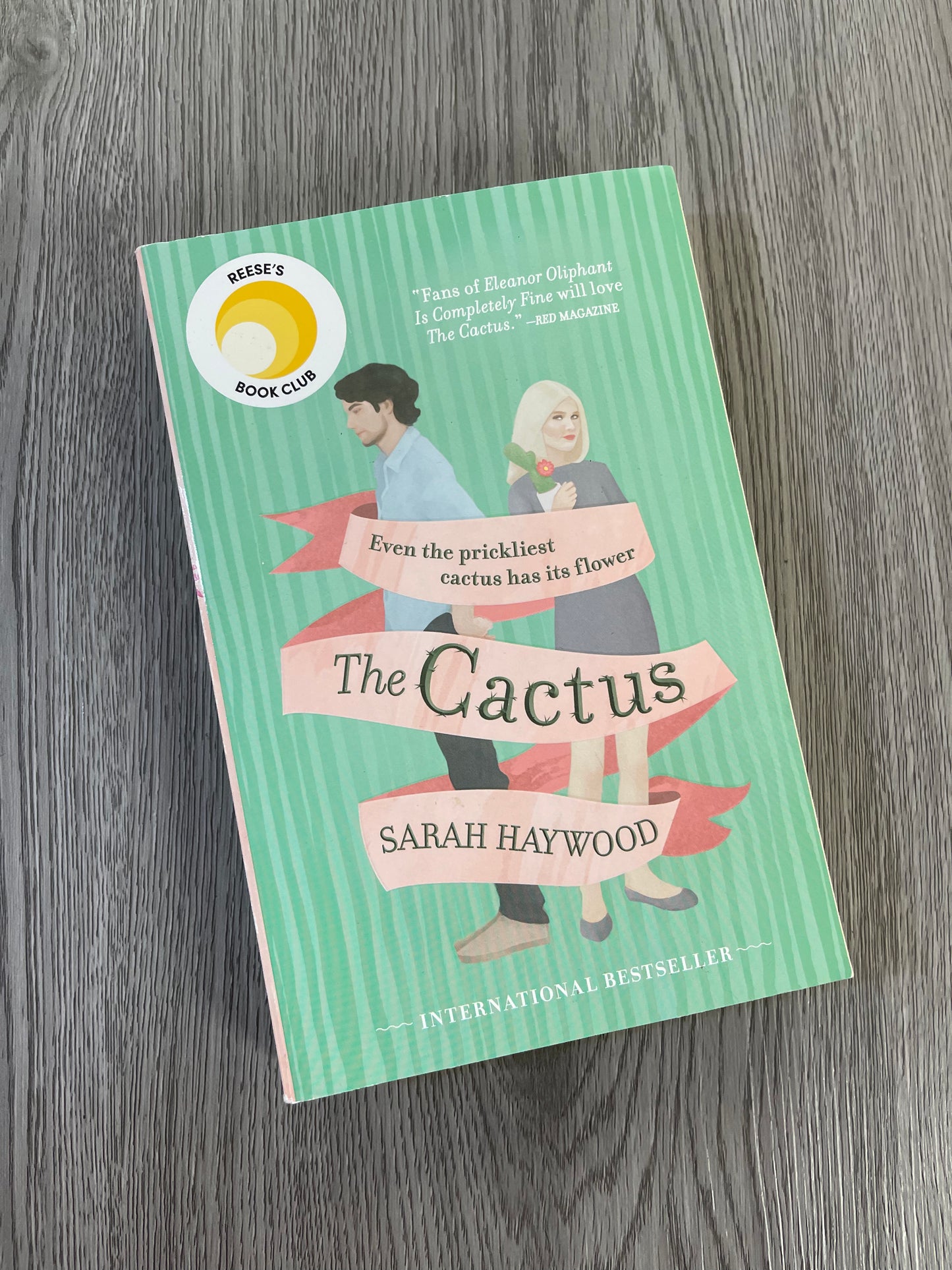 The Cactus by Sarah Haywood-Used