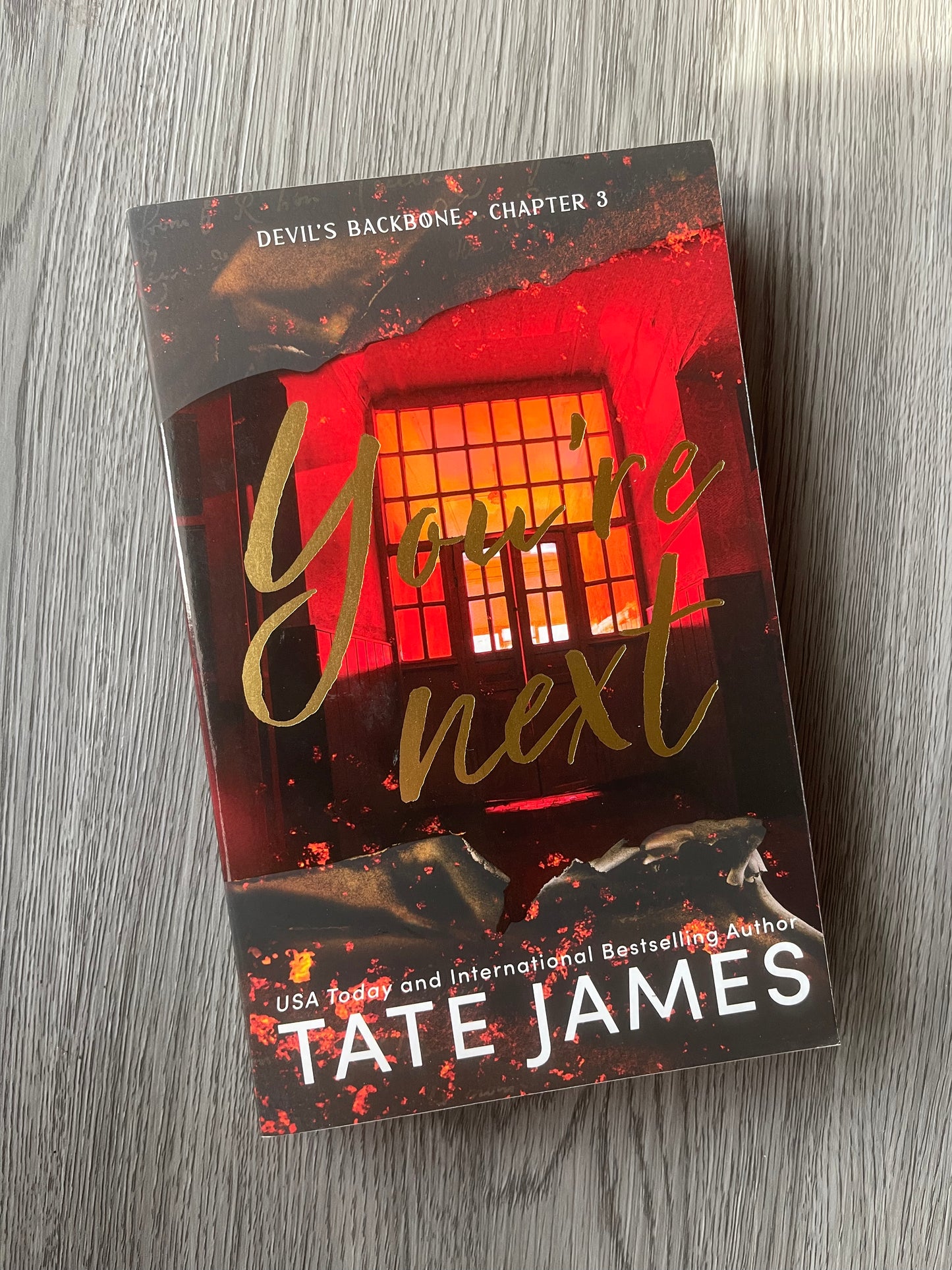 You're Next (Devil's Backbone #3) - Deluxe Edition by Tate James - Used