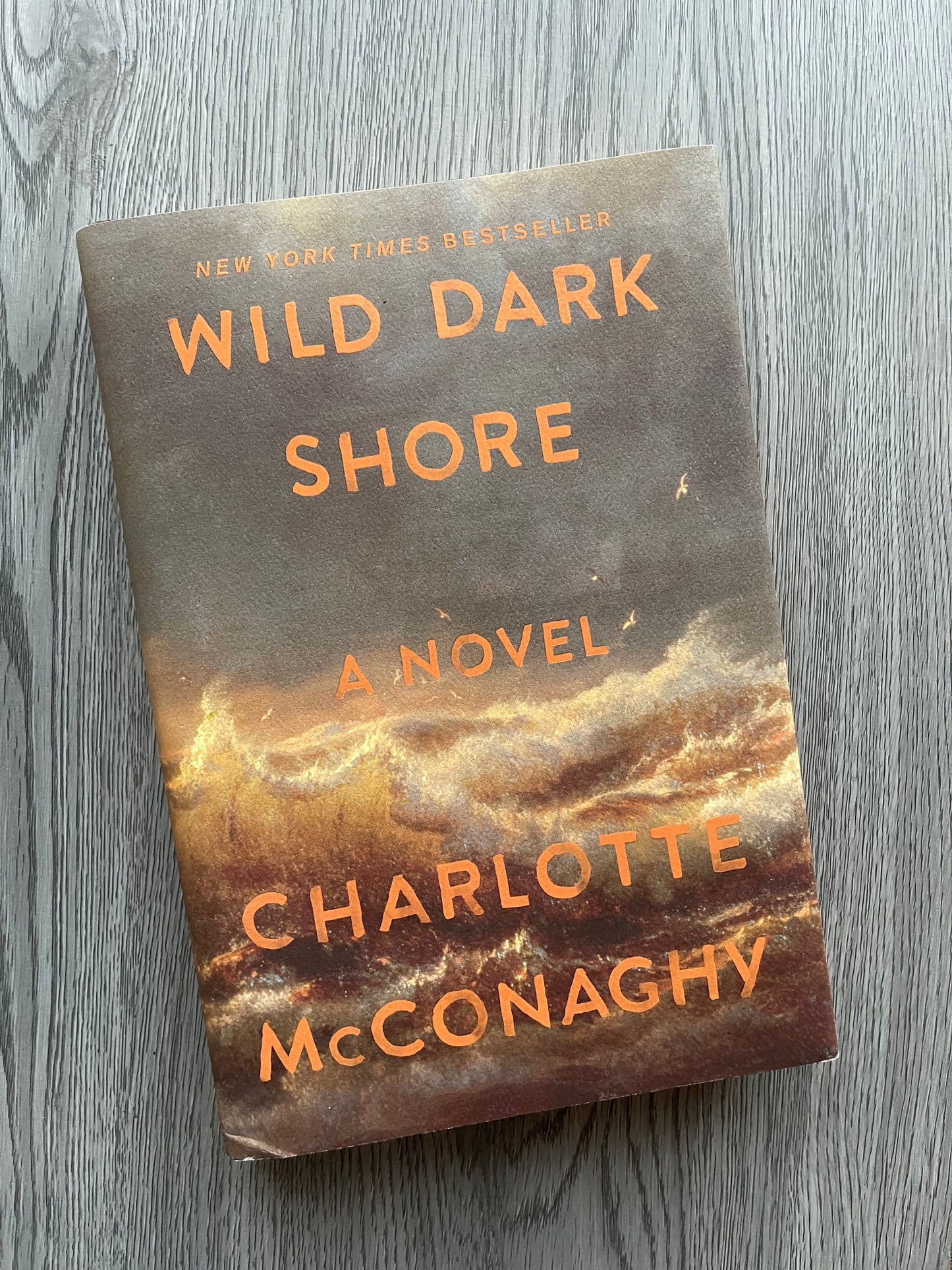 Wild Dark Shore by Charlotte McConaghy-Hardcover Used
