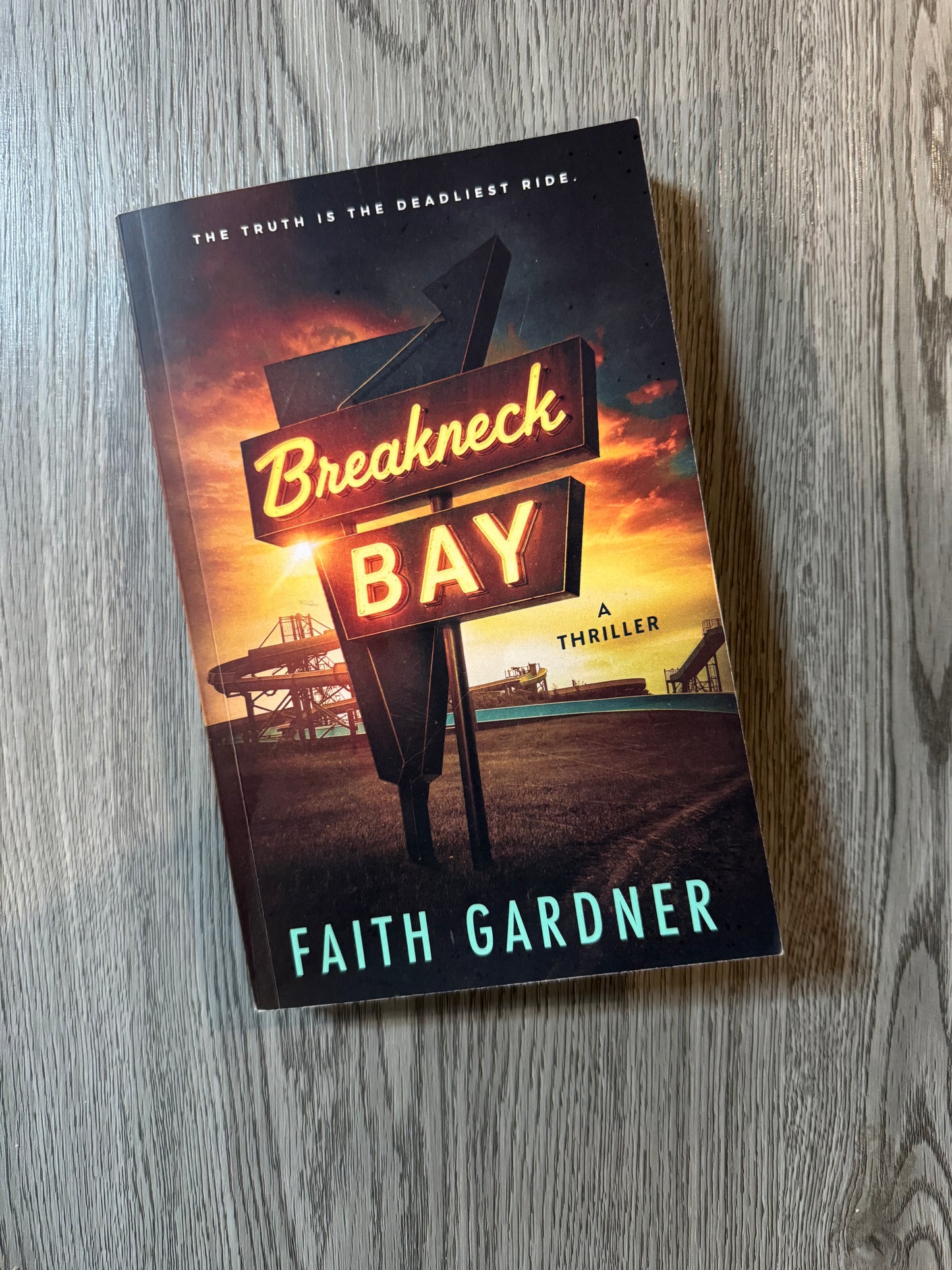 Breakneck Bay by Faith Gardner-Used