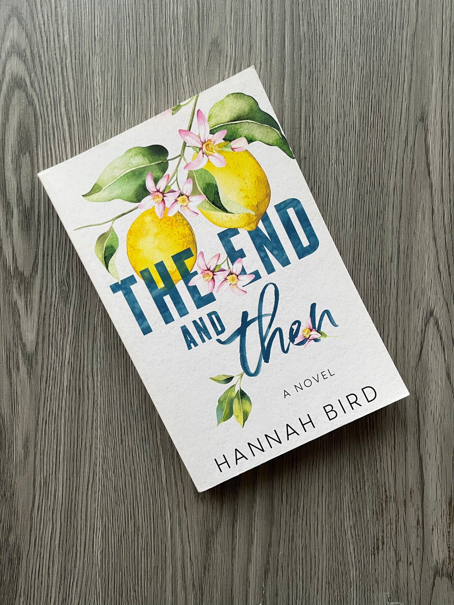 The End and Then (Loveless #1) by Hannah Bird-Used
