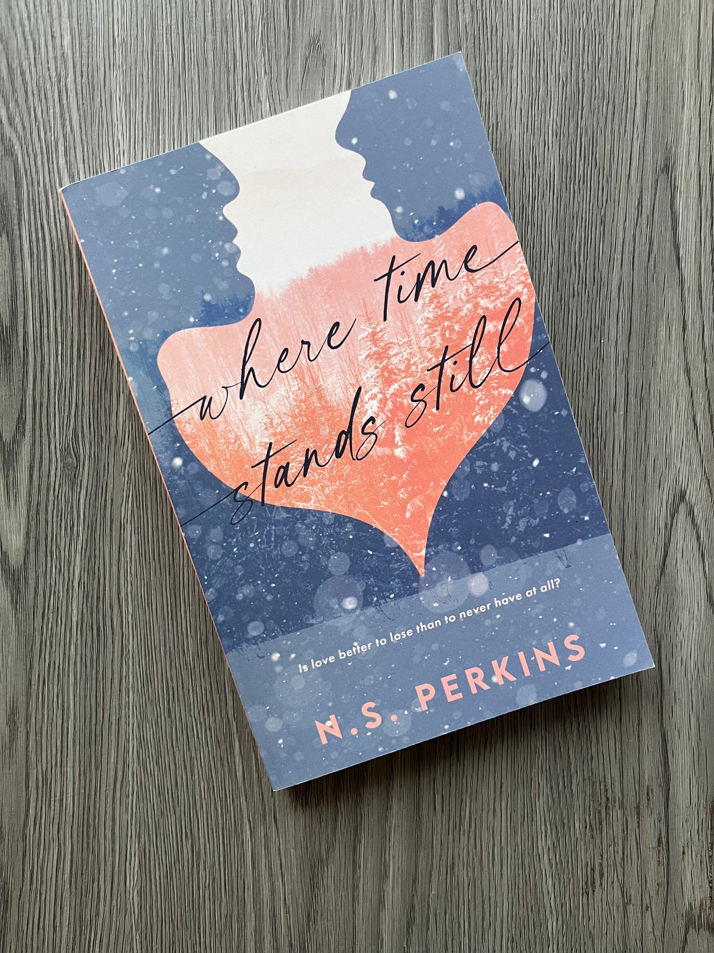 Where Time Stands Still (Evermore #1 ) by N.S. Perkins-Used