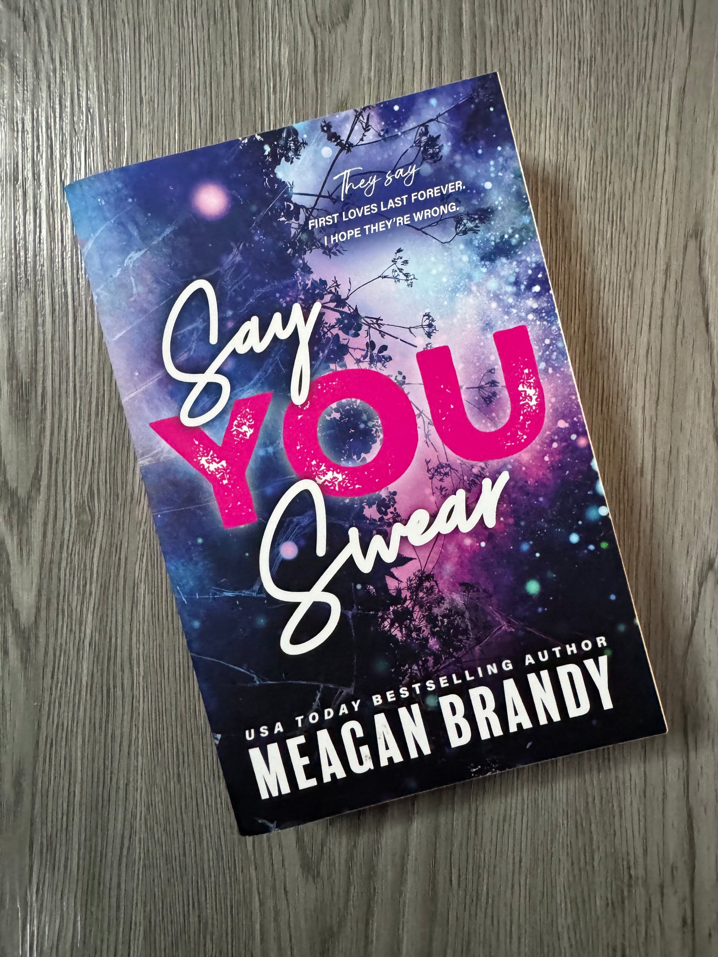 Say You Swear (Boys of Avix #1) by Meagan Brandy -Used