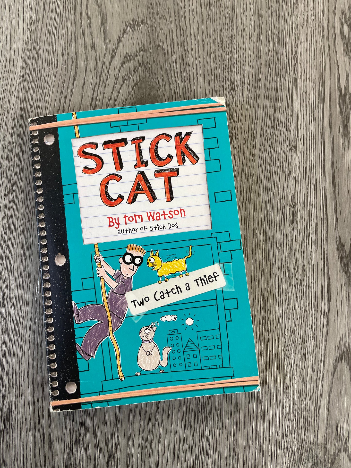 Two Catch a Thief ( Stick Cat #3) by Tom Watson-Used