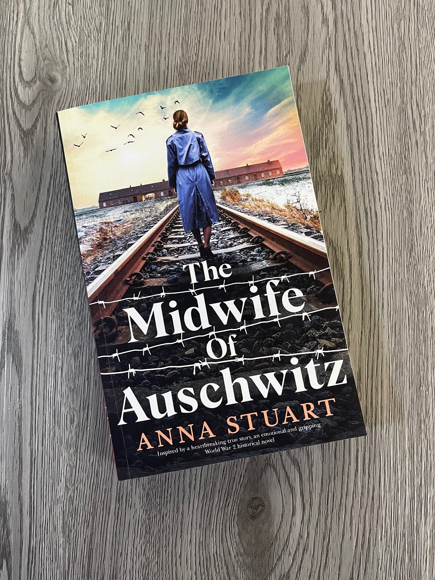 The Midwife of Auschwitz(Women of War #1) by Anna Stuart-Used