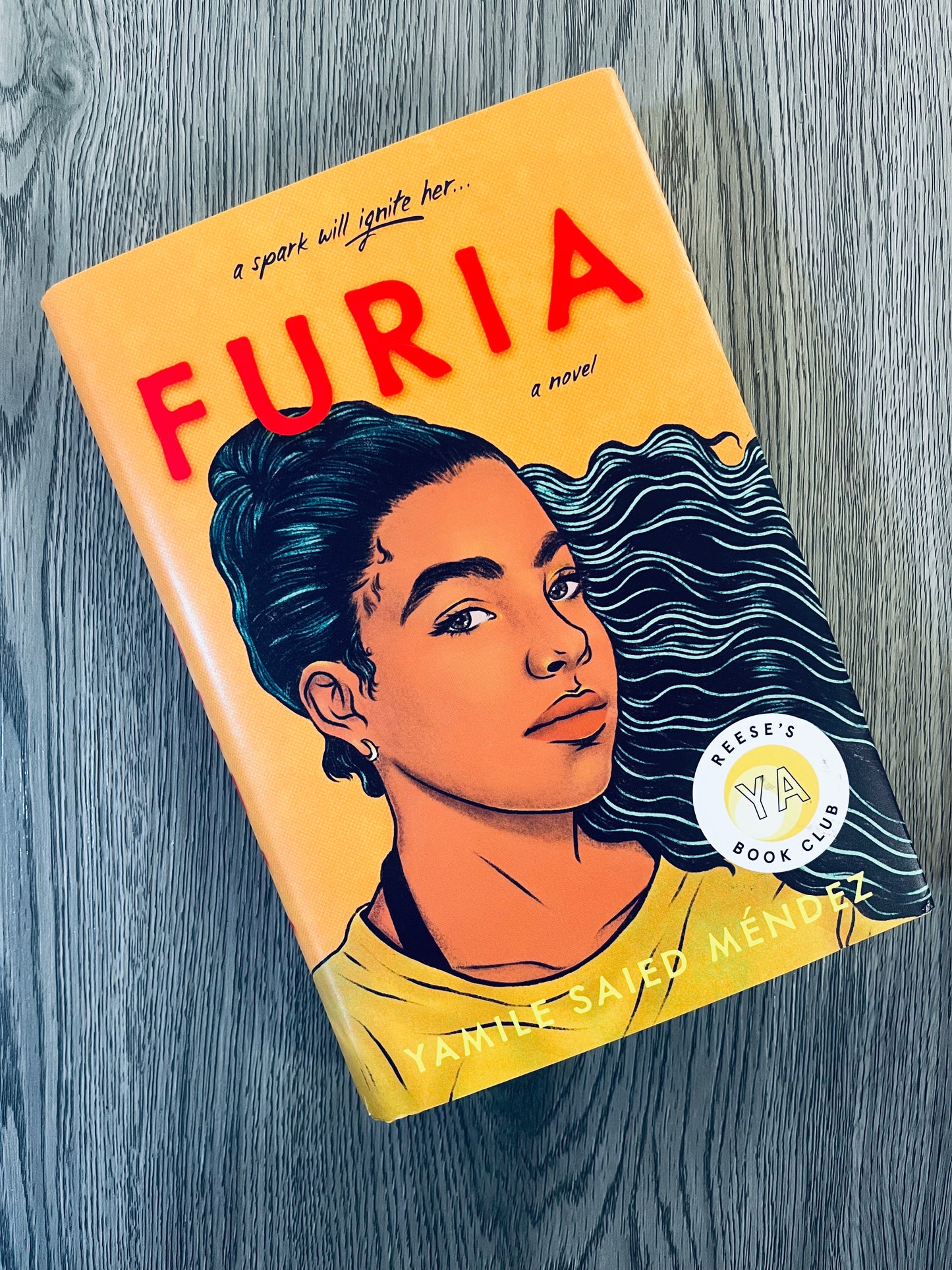 Furia by Yamile Saied Méndez - Hardcover Used
