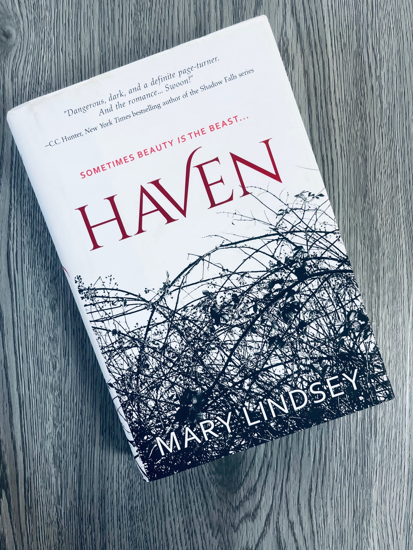 Haven (Haven #1) by Mary Lindsey - Hardcover