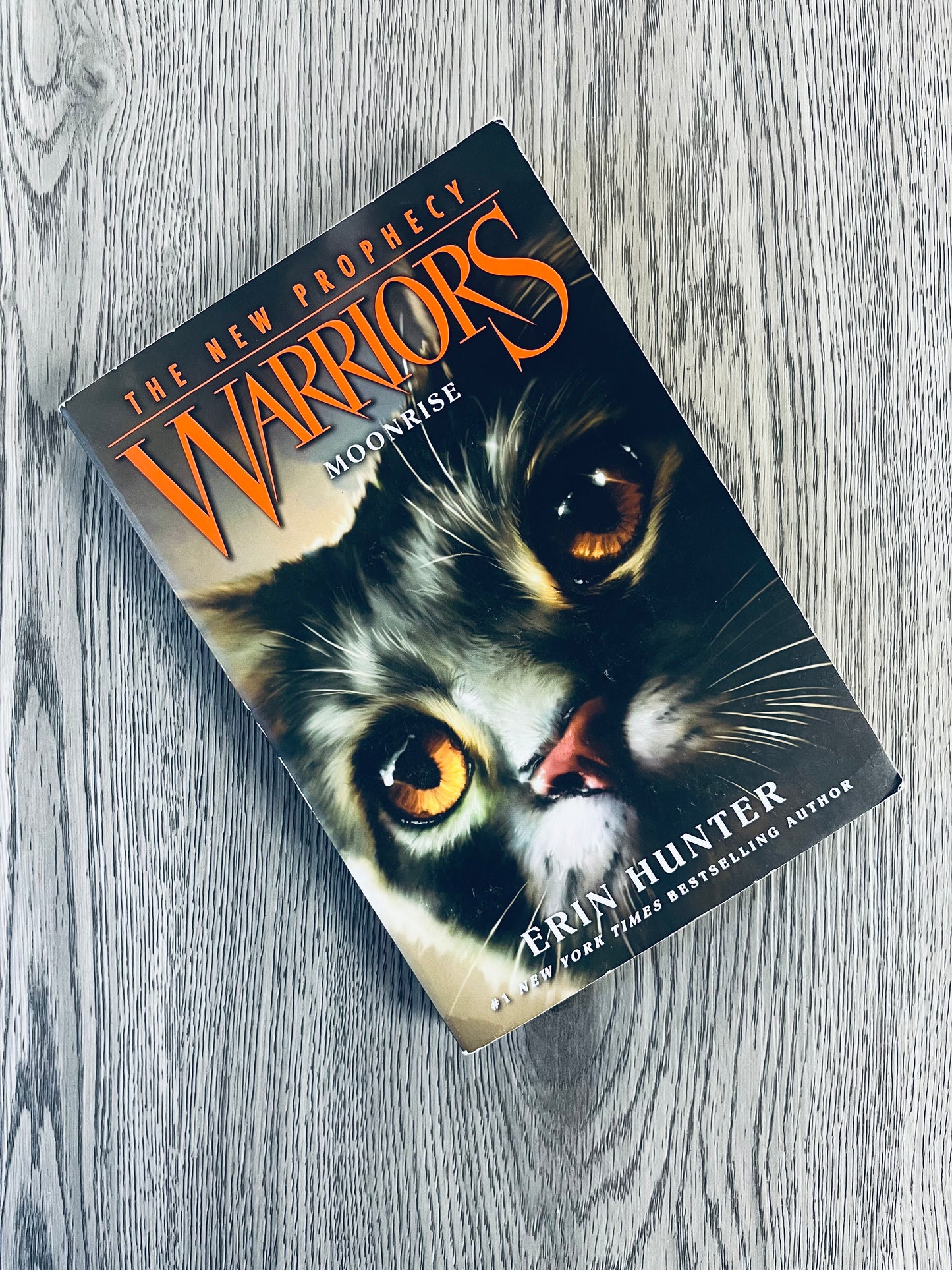 Warriors: The New Prophecy Warriors Series by Erin Hunter-Used