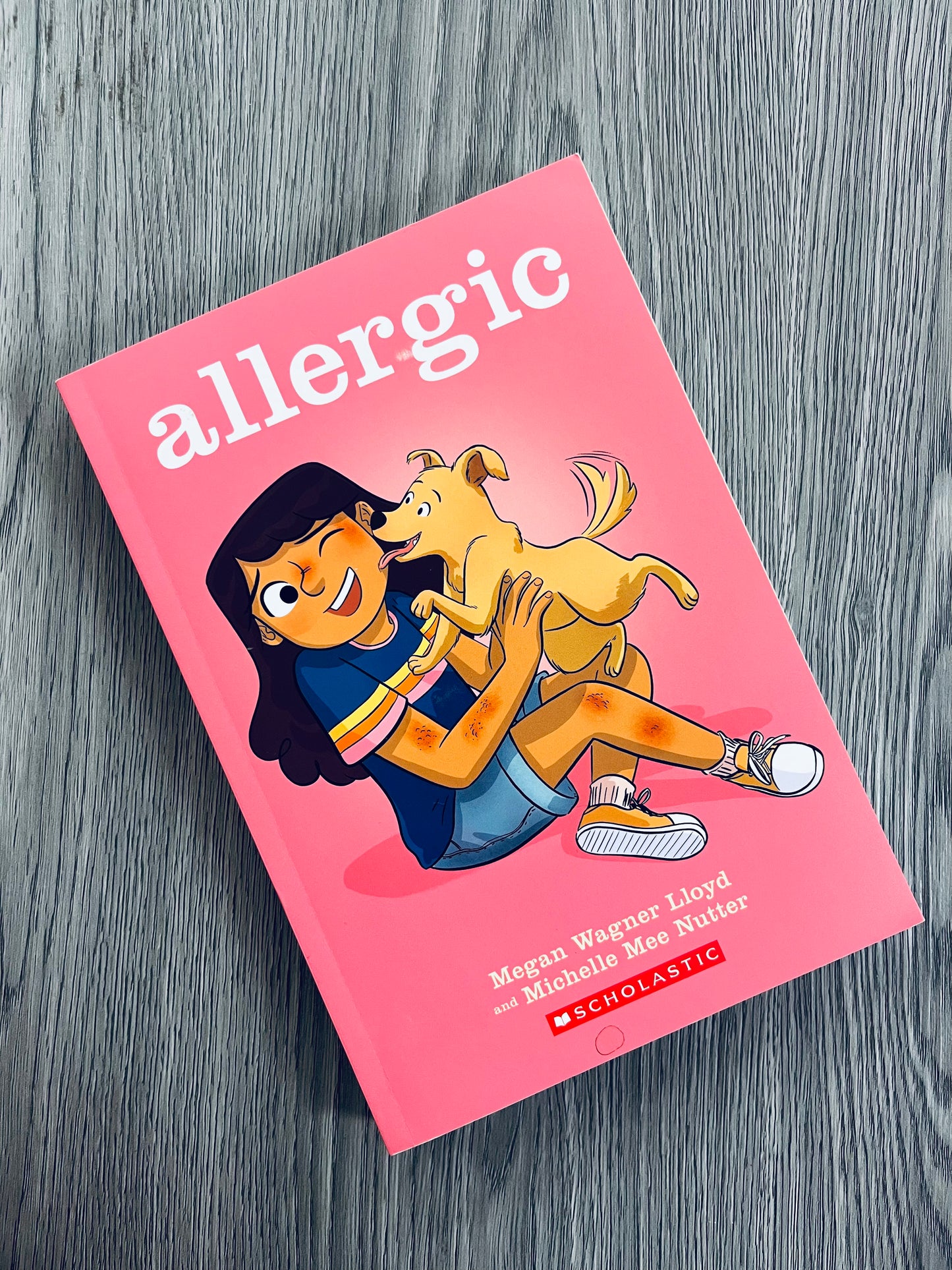 Allergic by Megan Wagner Lloyd - Graphic Novel Used