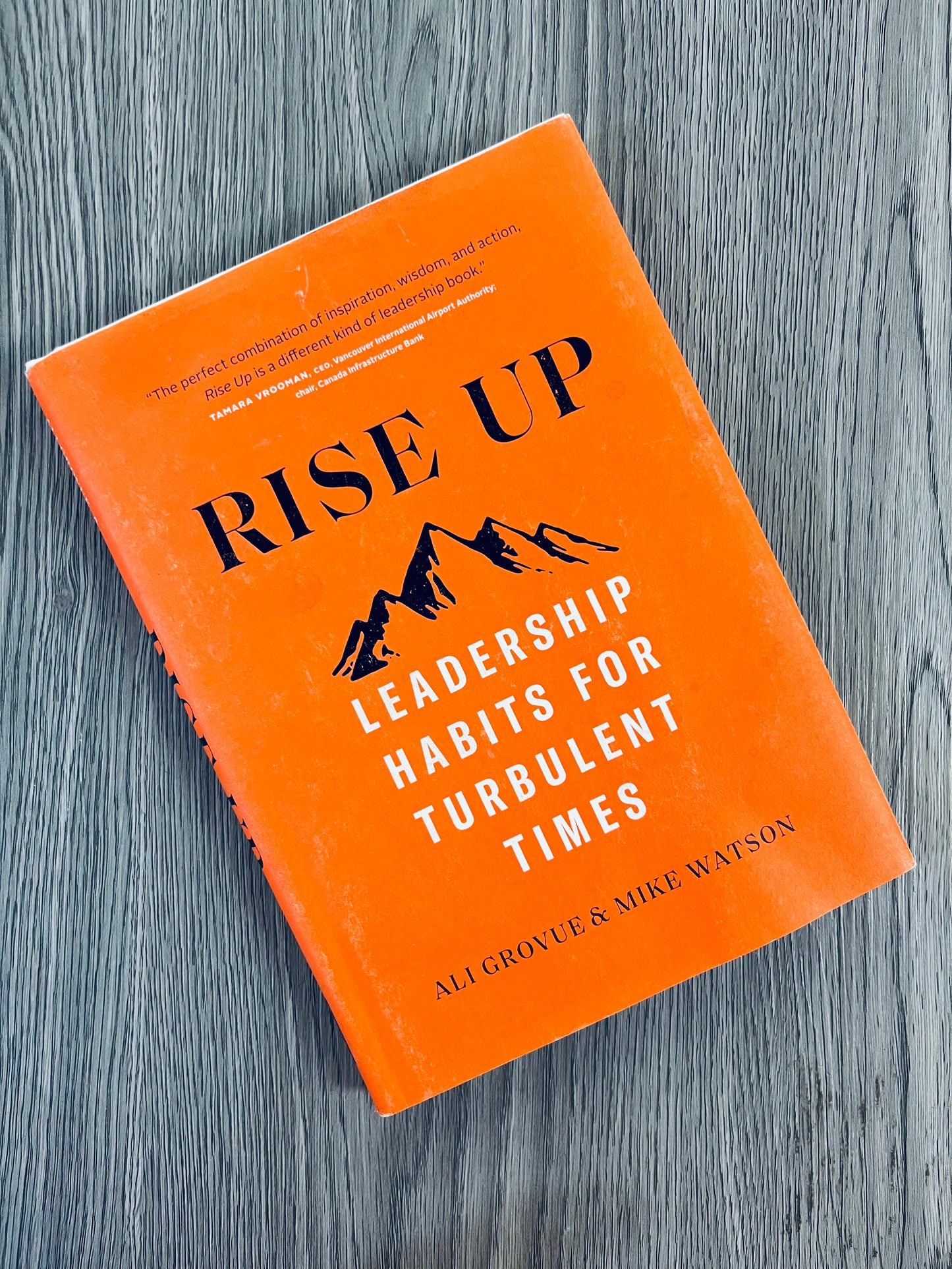 Rise Up: Leadership Habits for Turbulent Times by Ali Grovue-Used