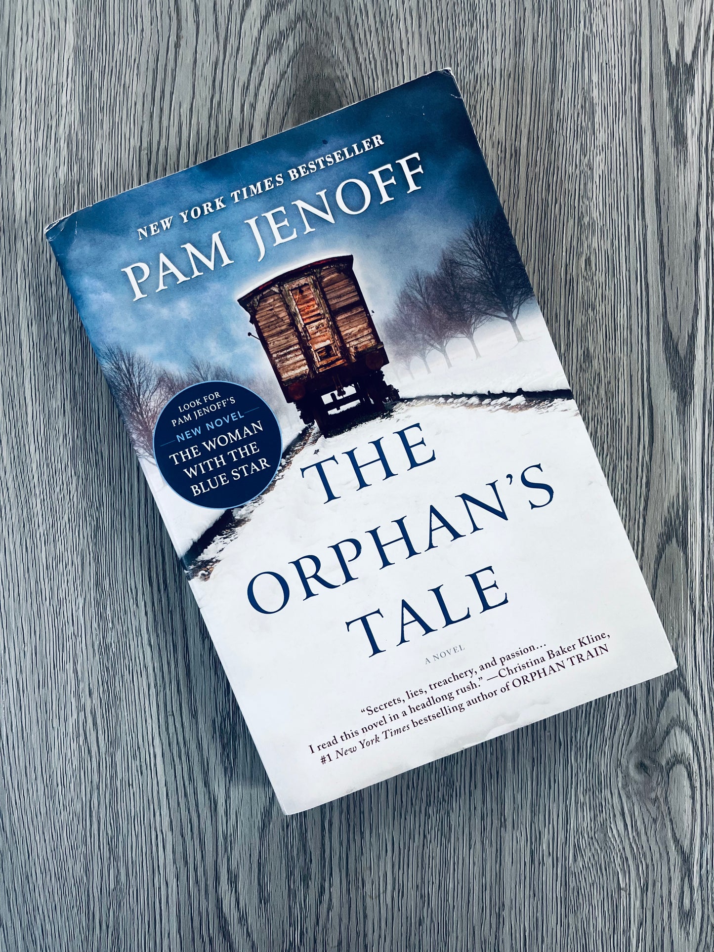 The Orphan's Tale by Pam Jenoff-Used