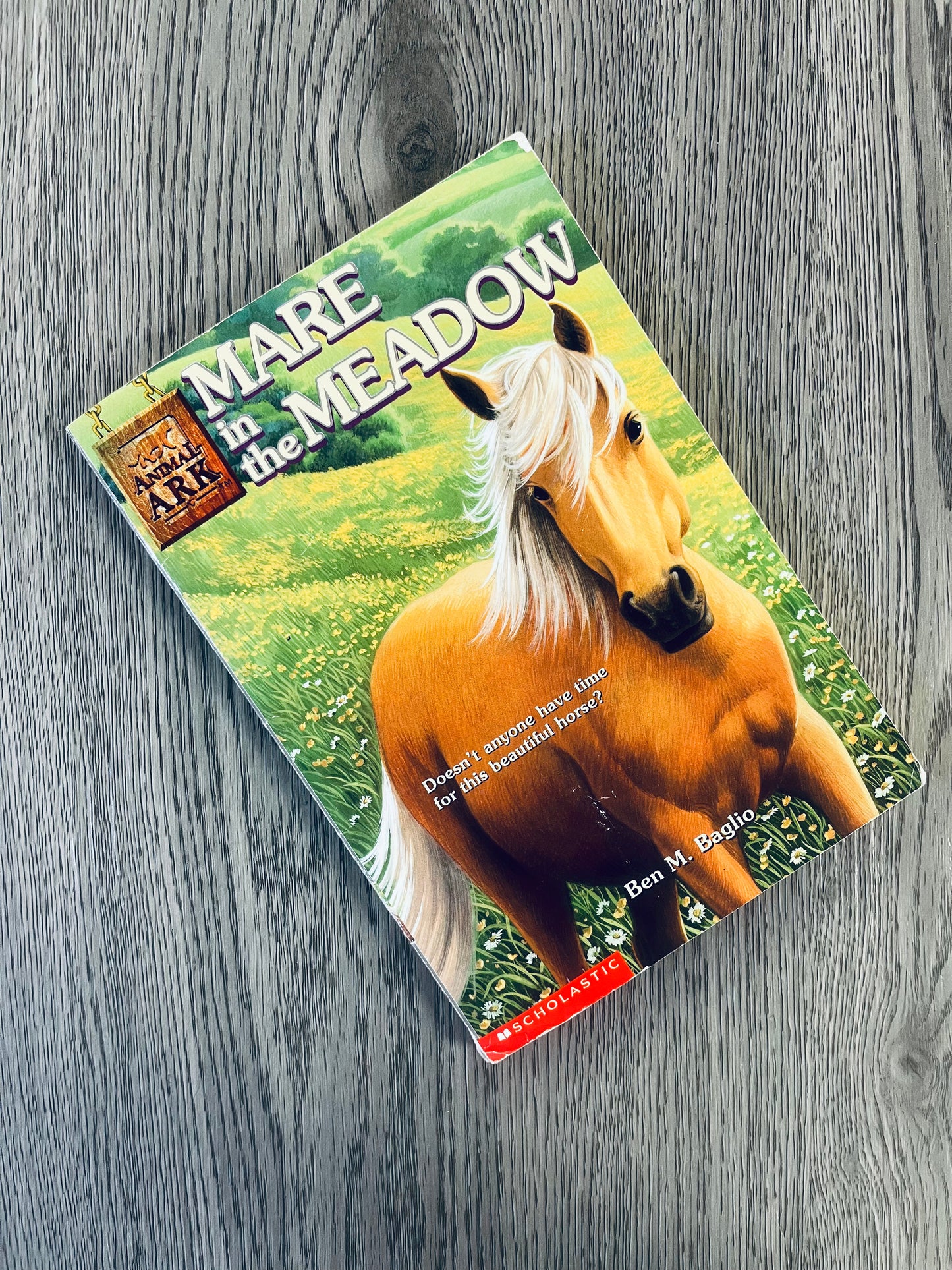 Mare in the Meadow by Ben M. Baglio - Used
