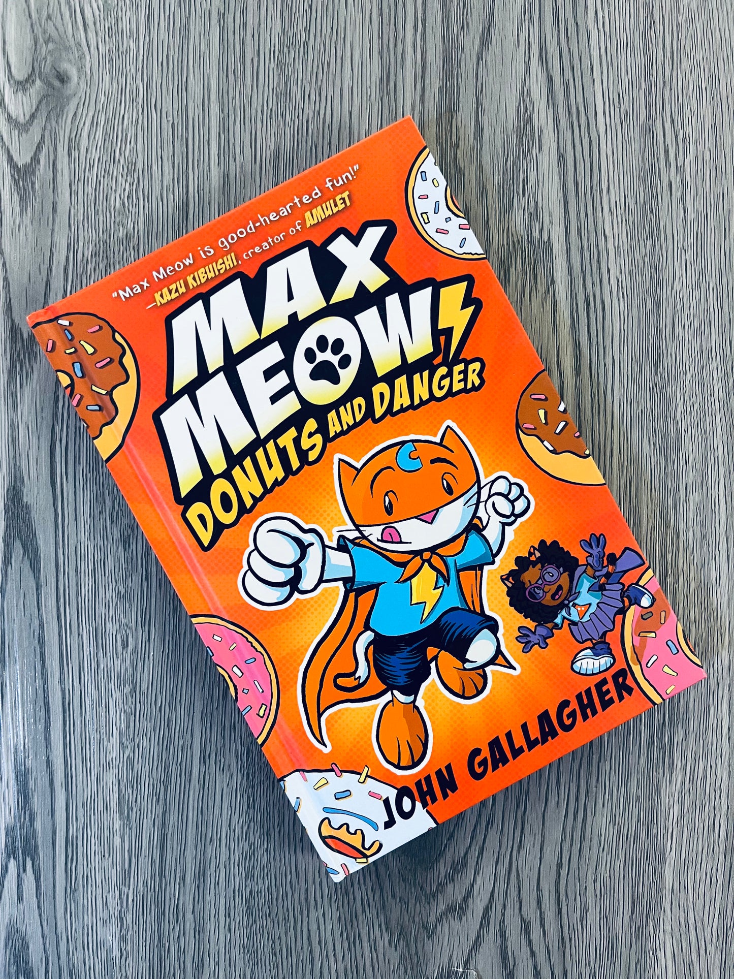 Max Meow Series by John Gallagher - Graphic Novels - Used