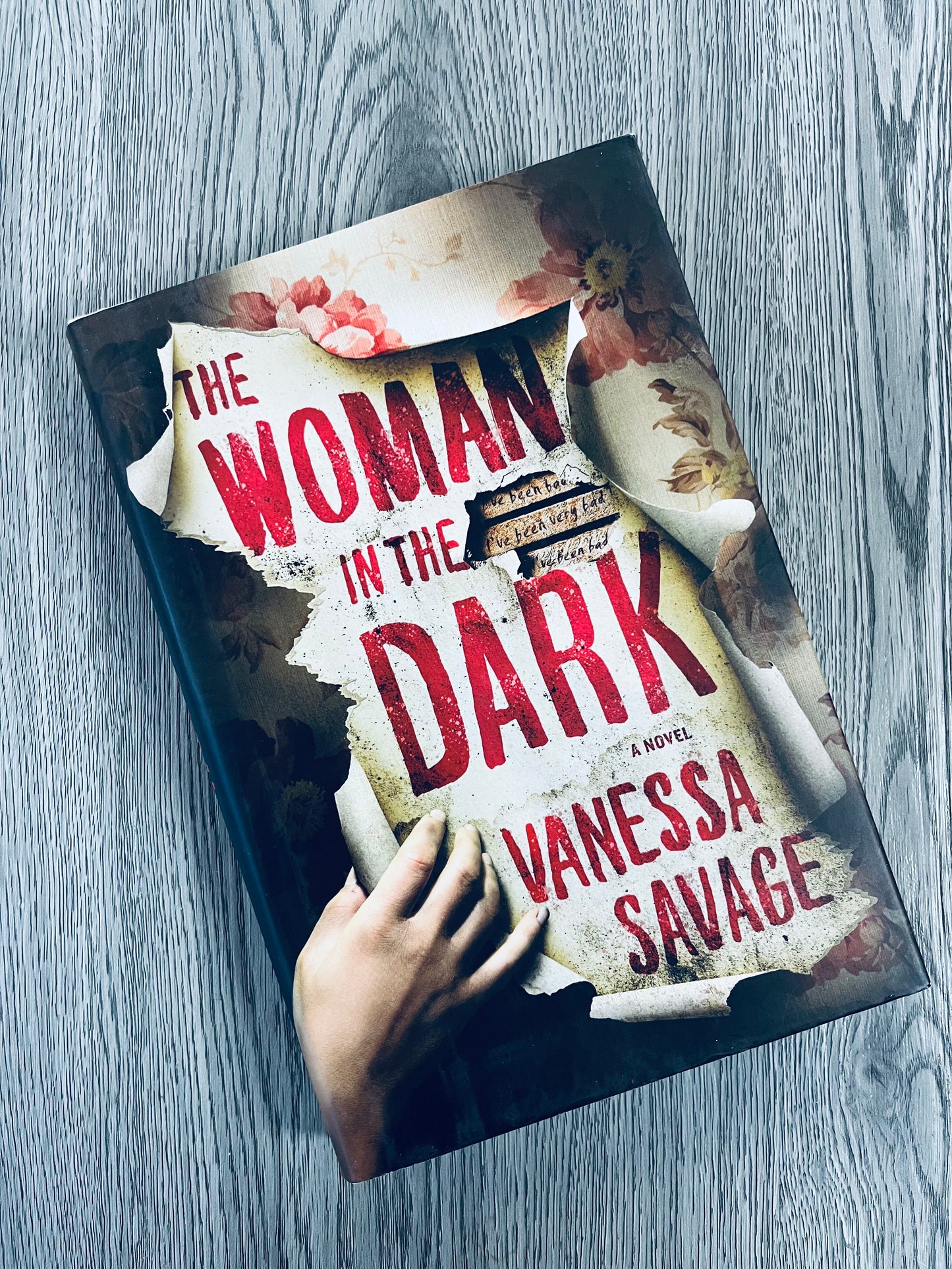 The Woman In the Dark by Vanessa Savage - Hardcover Used