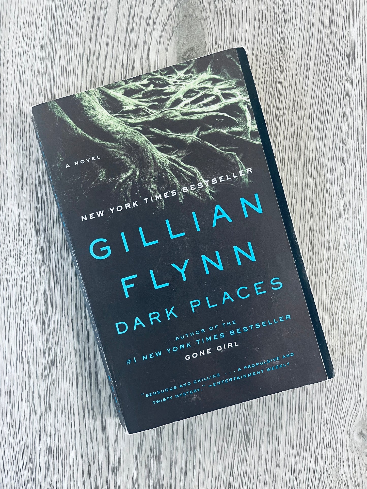 Dark Places by Gillian Flynn - Used