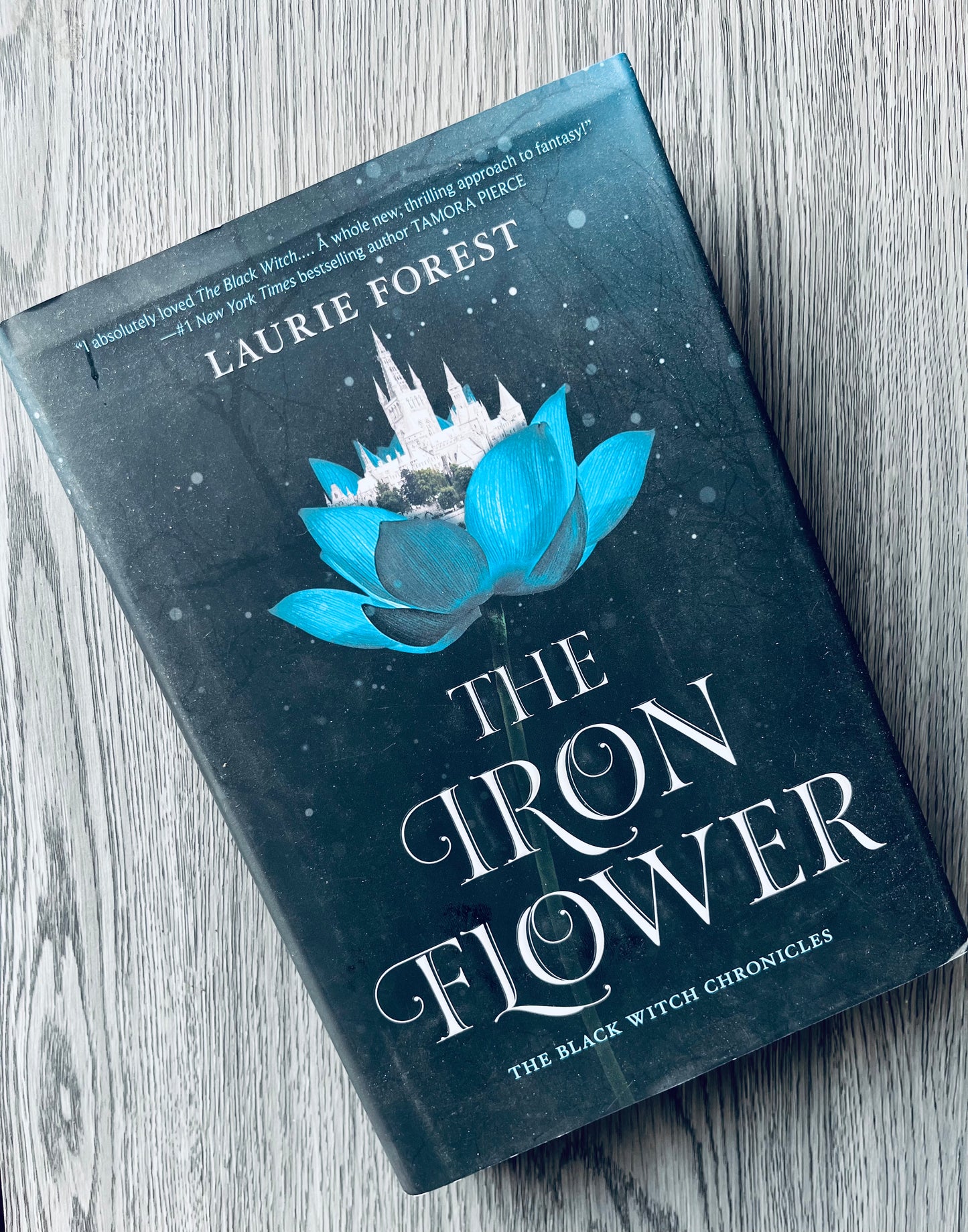 The Iron Flower (The Black Witch Chronicles #2) by Laurie Forest - Hardcover Used