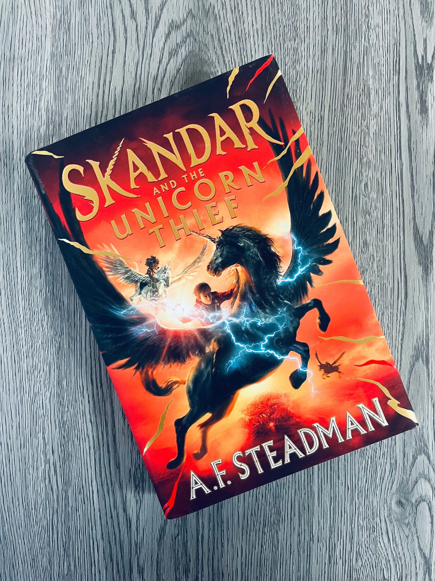 Skandar and the Unicorn Thief (Skandar #1) by A.F. Steadman - Hardcover Used