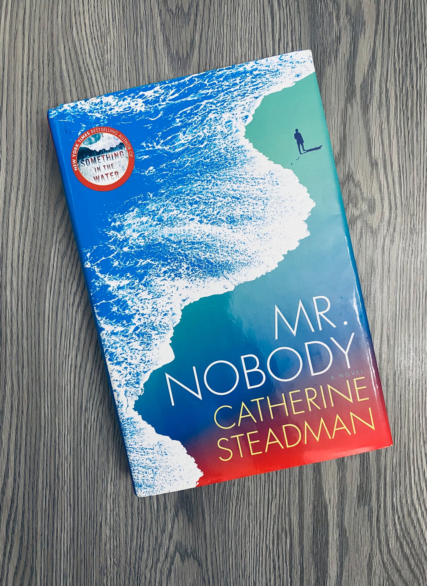 Mr. Nobody by Catherine Steadman-Hardcover Used