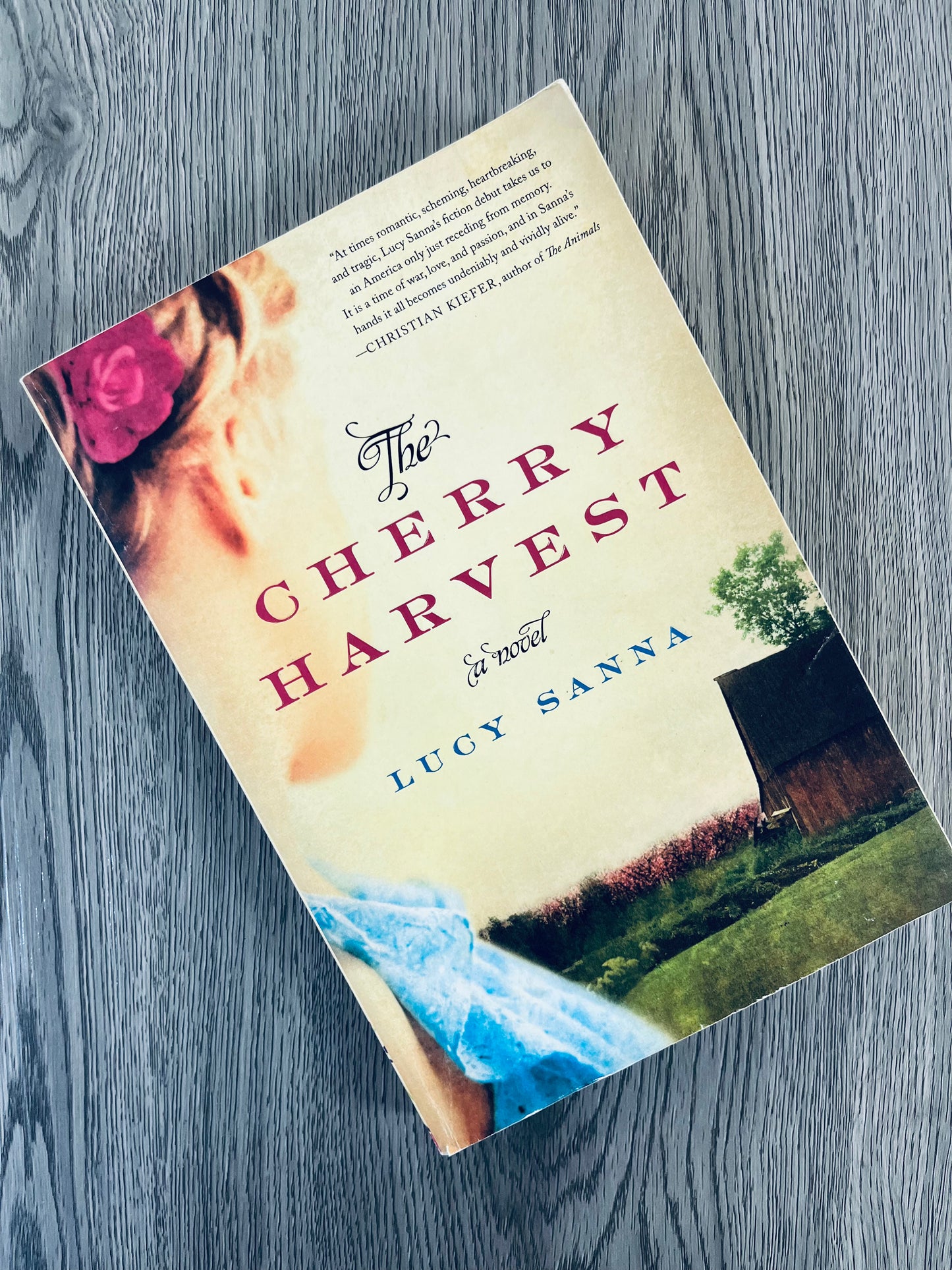The Cherry Harvest by Lucy Sanna-Used