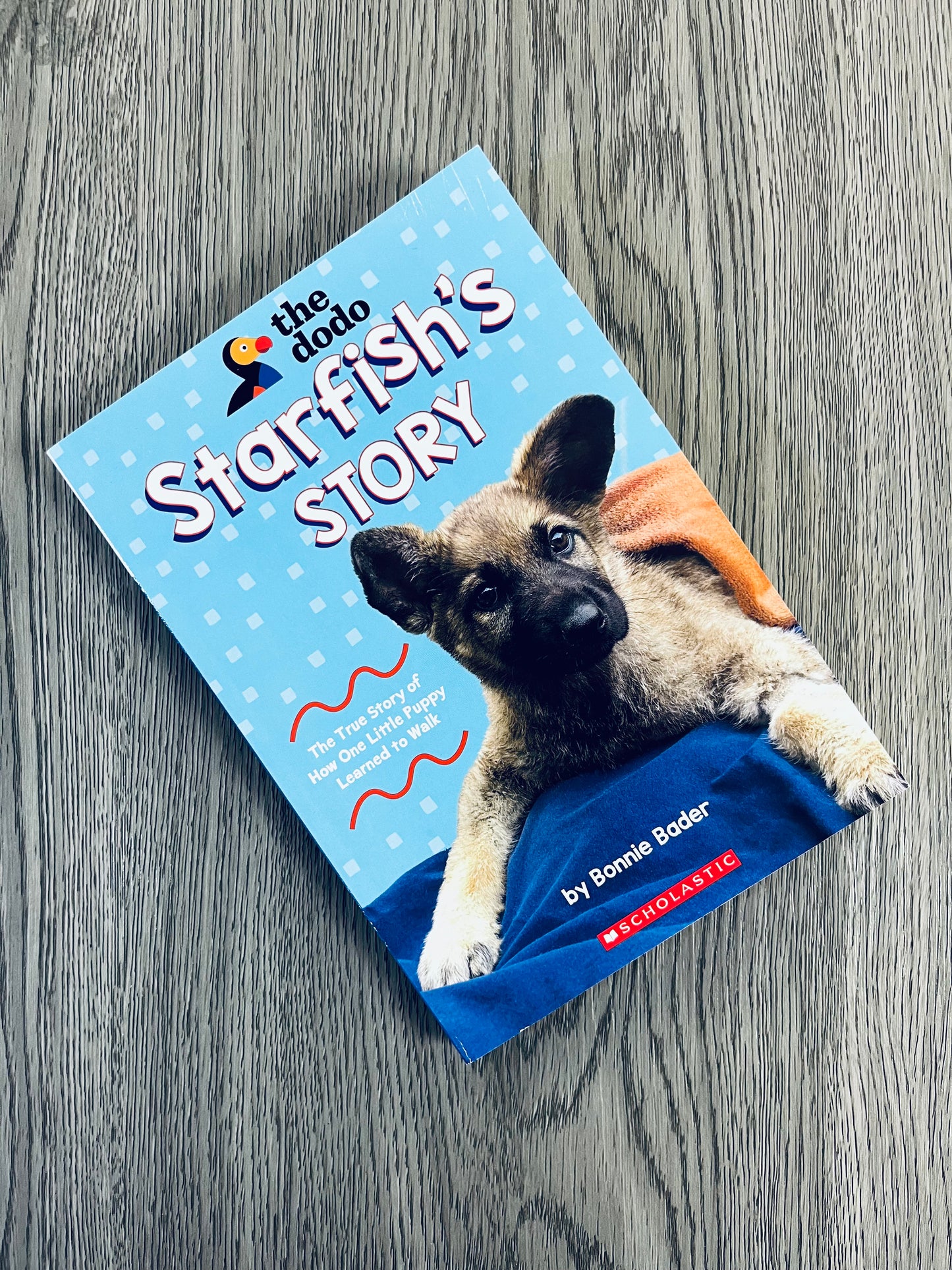 Starfish's Story: The True Story of How One Little Puppy Learned to Walk by Bonnie Bader-Used