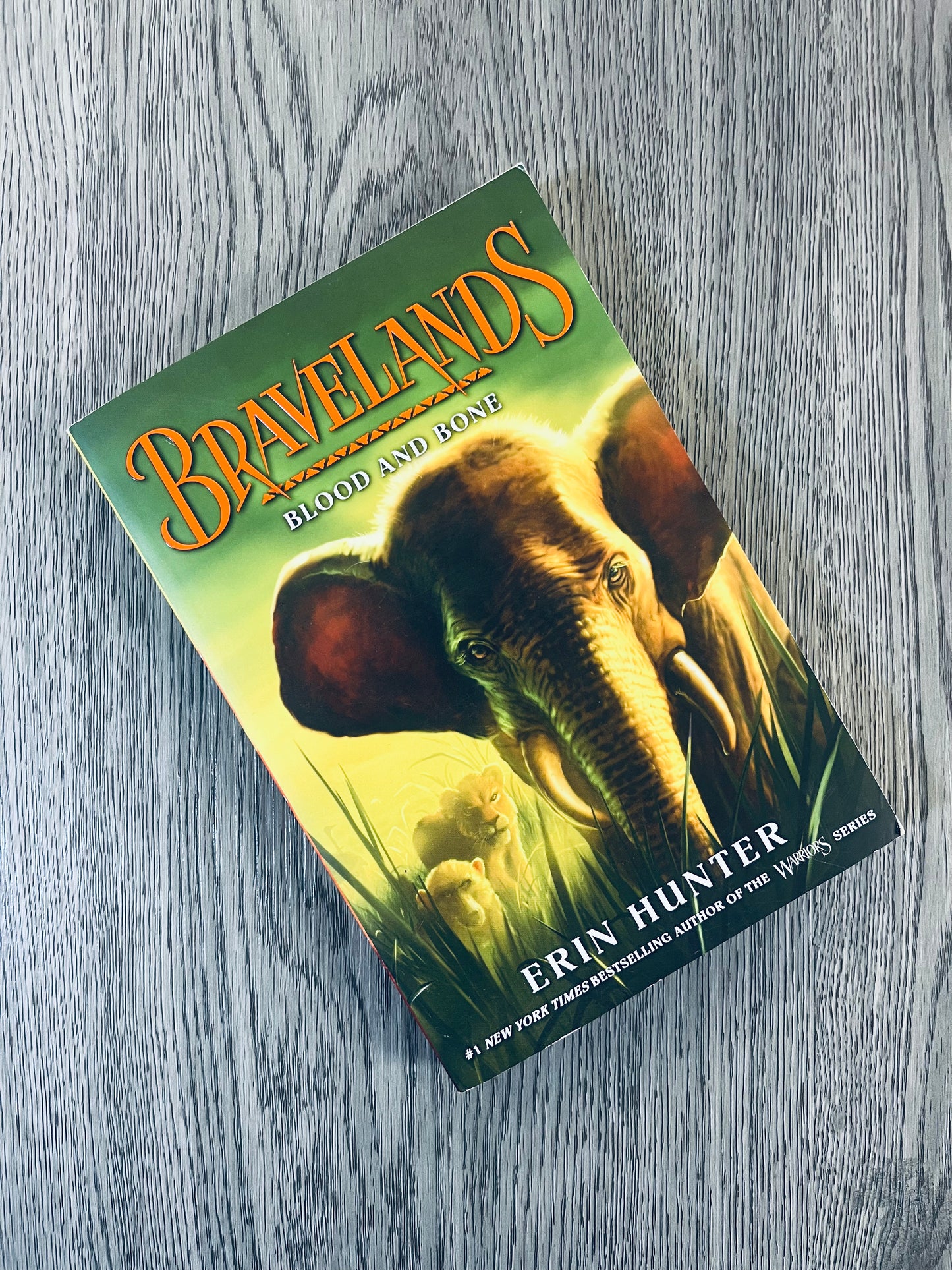 Bravelands Series by Erin Hunter - Used