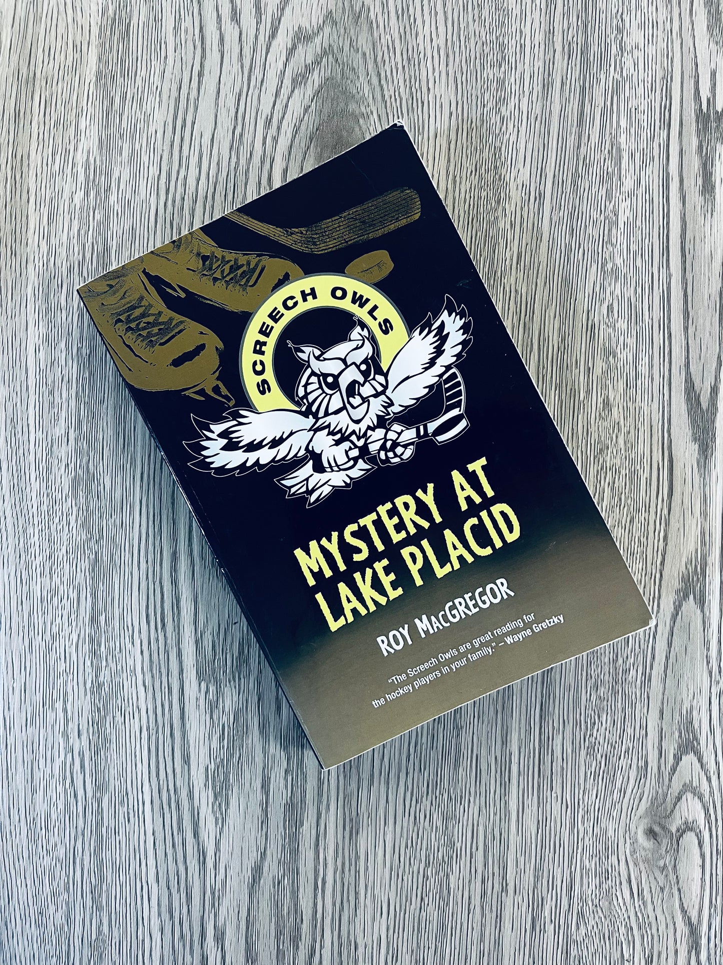 Mystery at Lake Placid by Roy MacGregor-Used