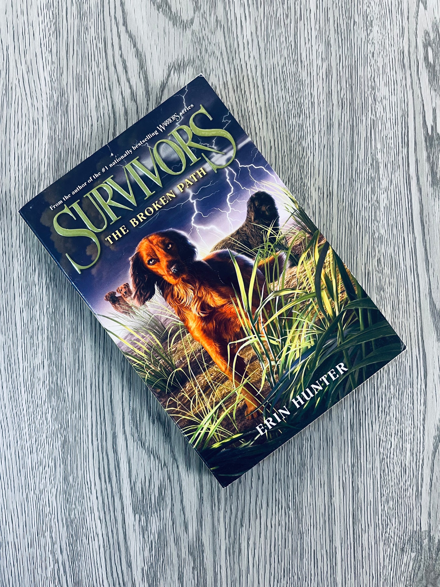 Survivors by Erin Hunter-Used