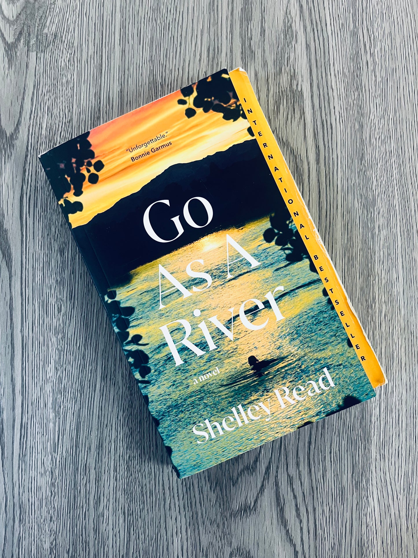 Go as a River by Shelley Read-Used