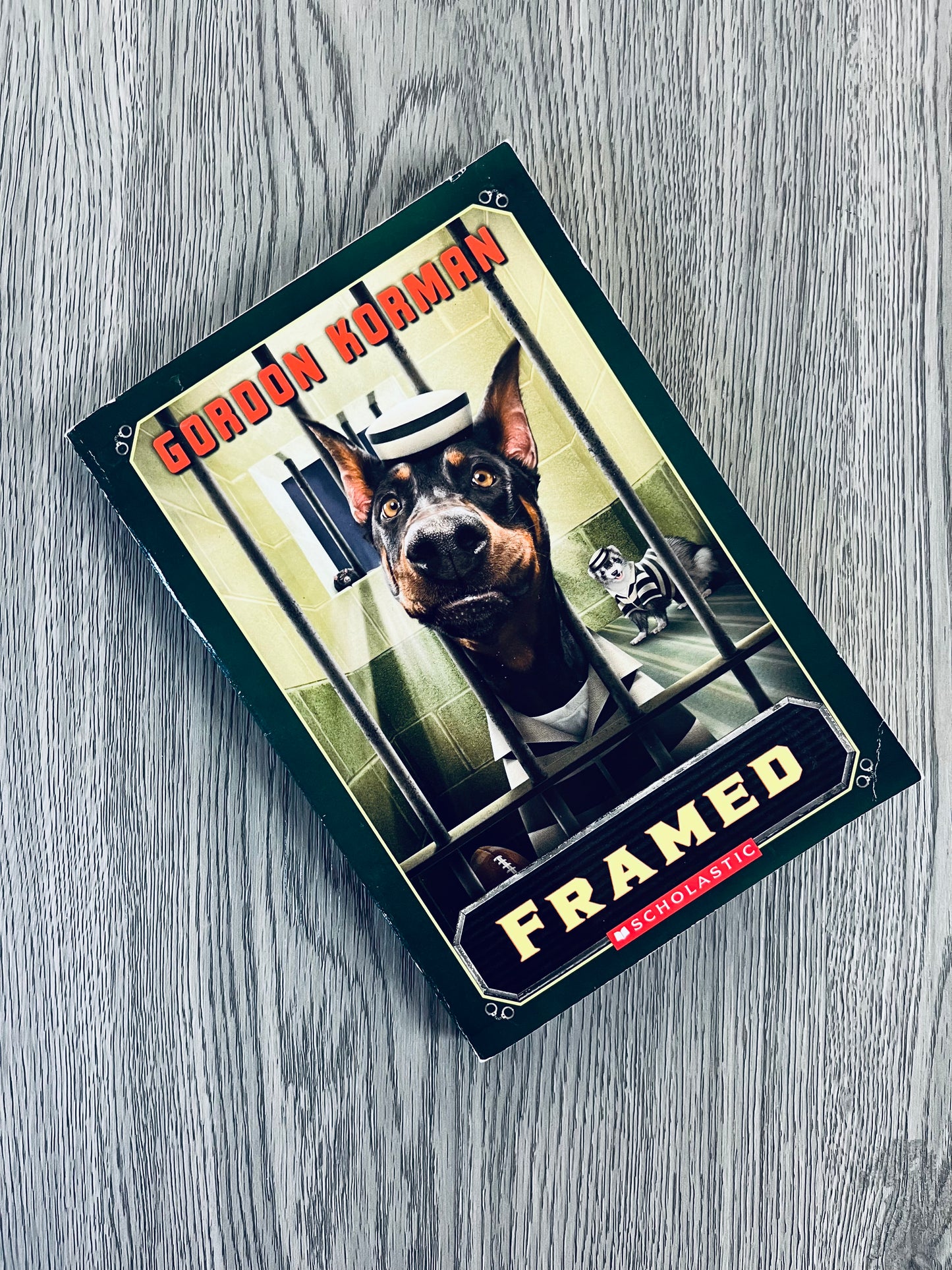 Framed by Gordon Korman-Used