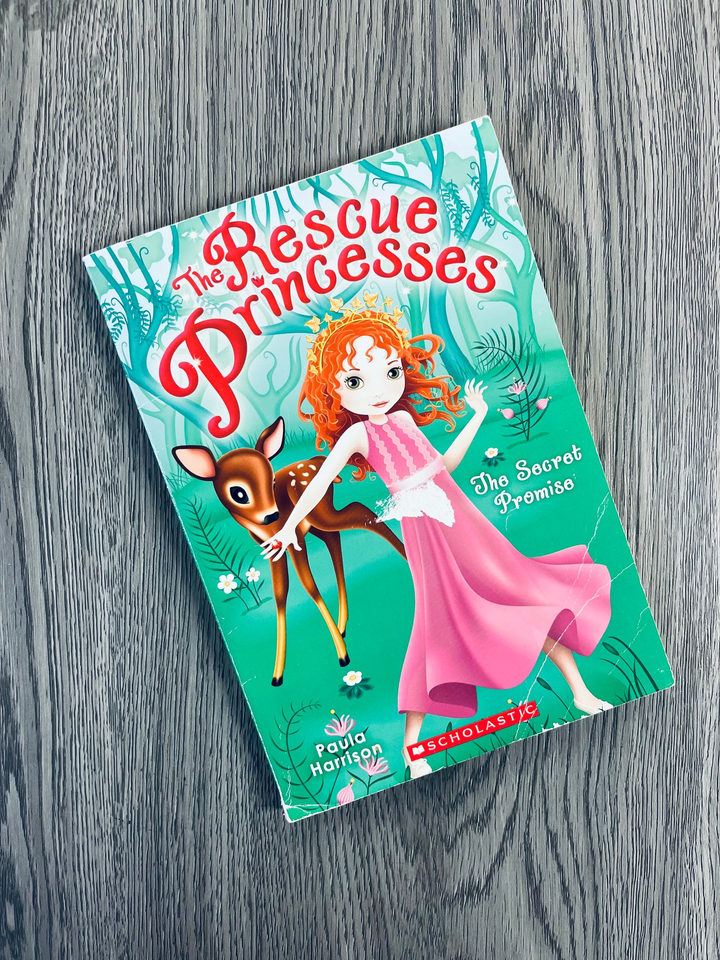 The Rescue Princesses Series by Paula Harrison-Used