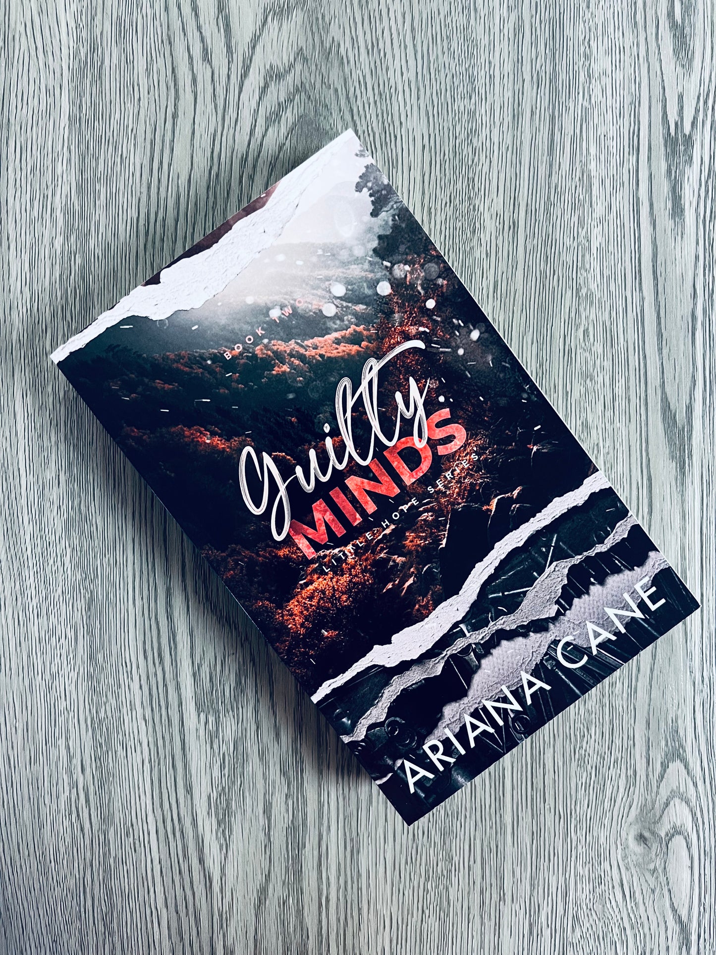 Guilty Minds (Little Hope Series #2) by Ariana Cane-Used