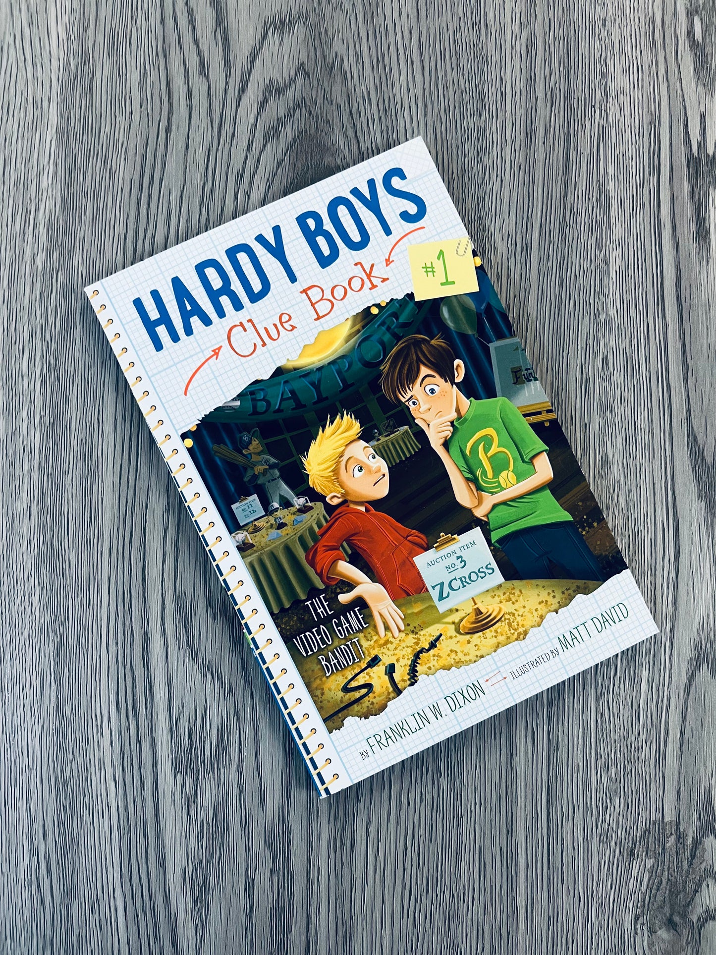 Hardy Boys Clue Book Series