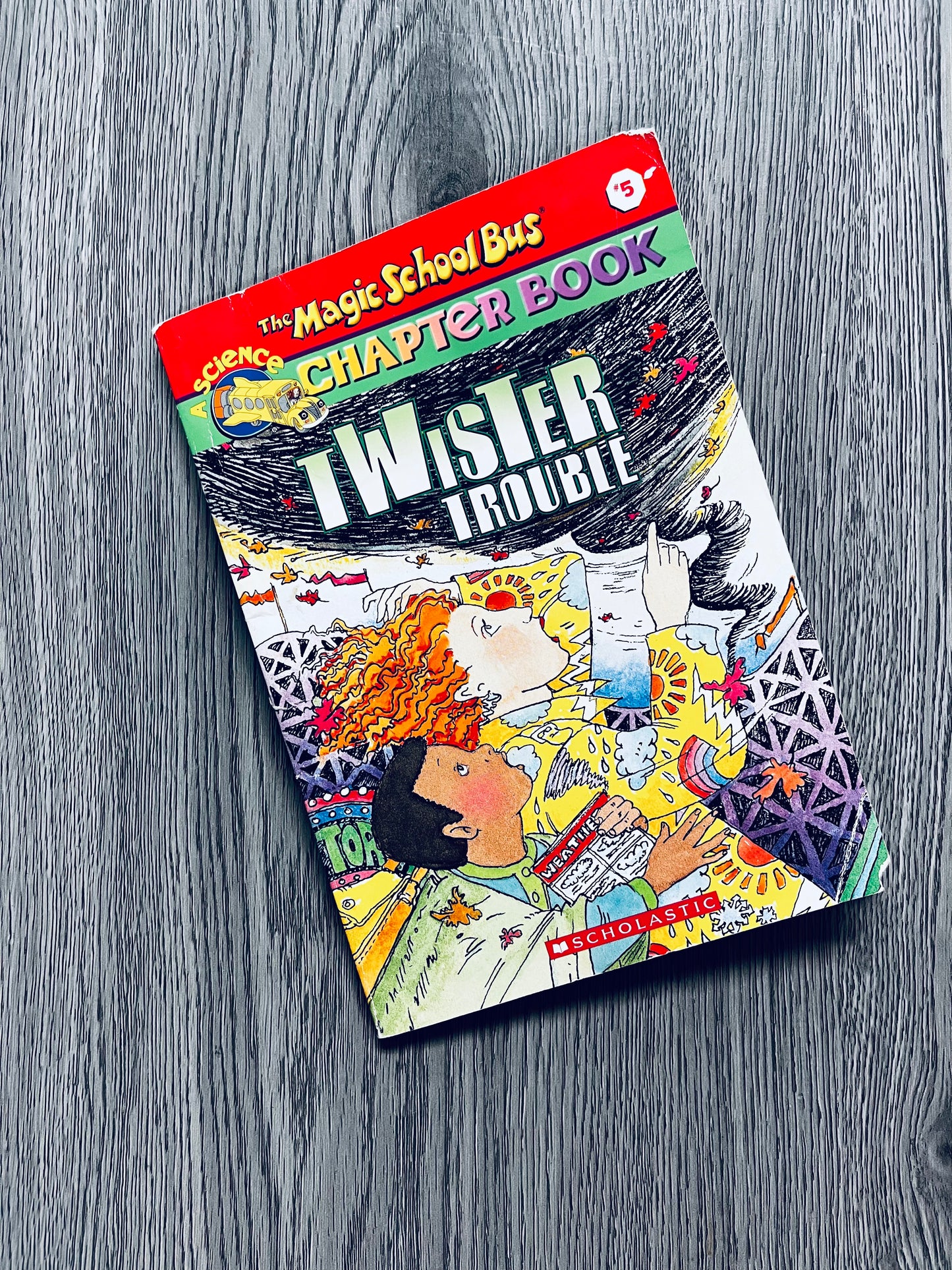 The Magic School Bus Chapter Books by Ann Schreiber-Used