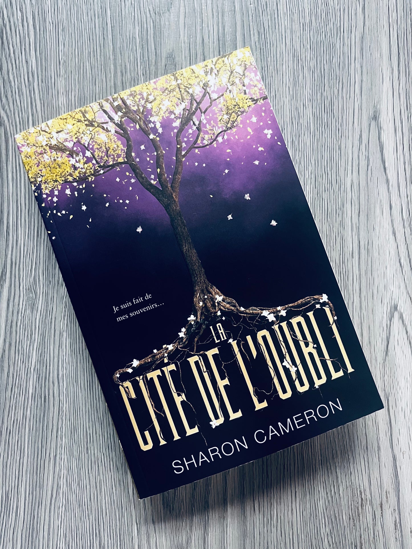 La Cite De L'Oubli by Sharon Cameron-Used