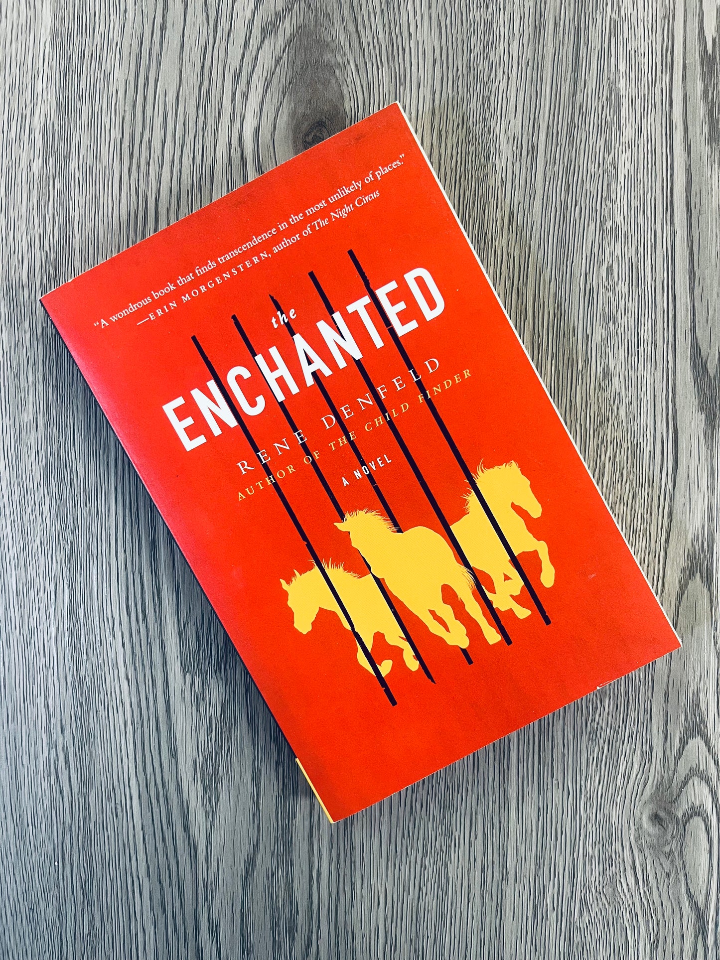 The Enchanted by Rene Denfeld-Used
