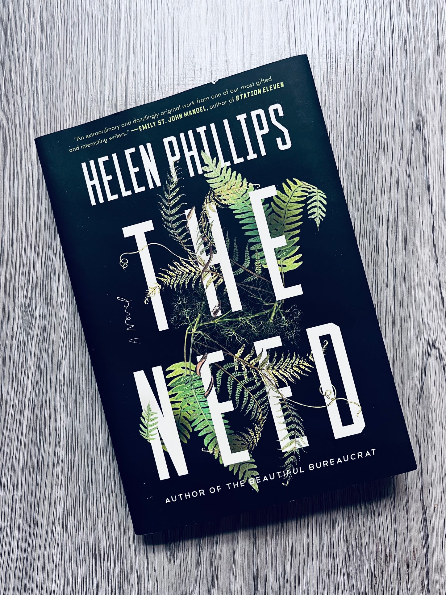 The Need by Helen Phillips-Used