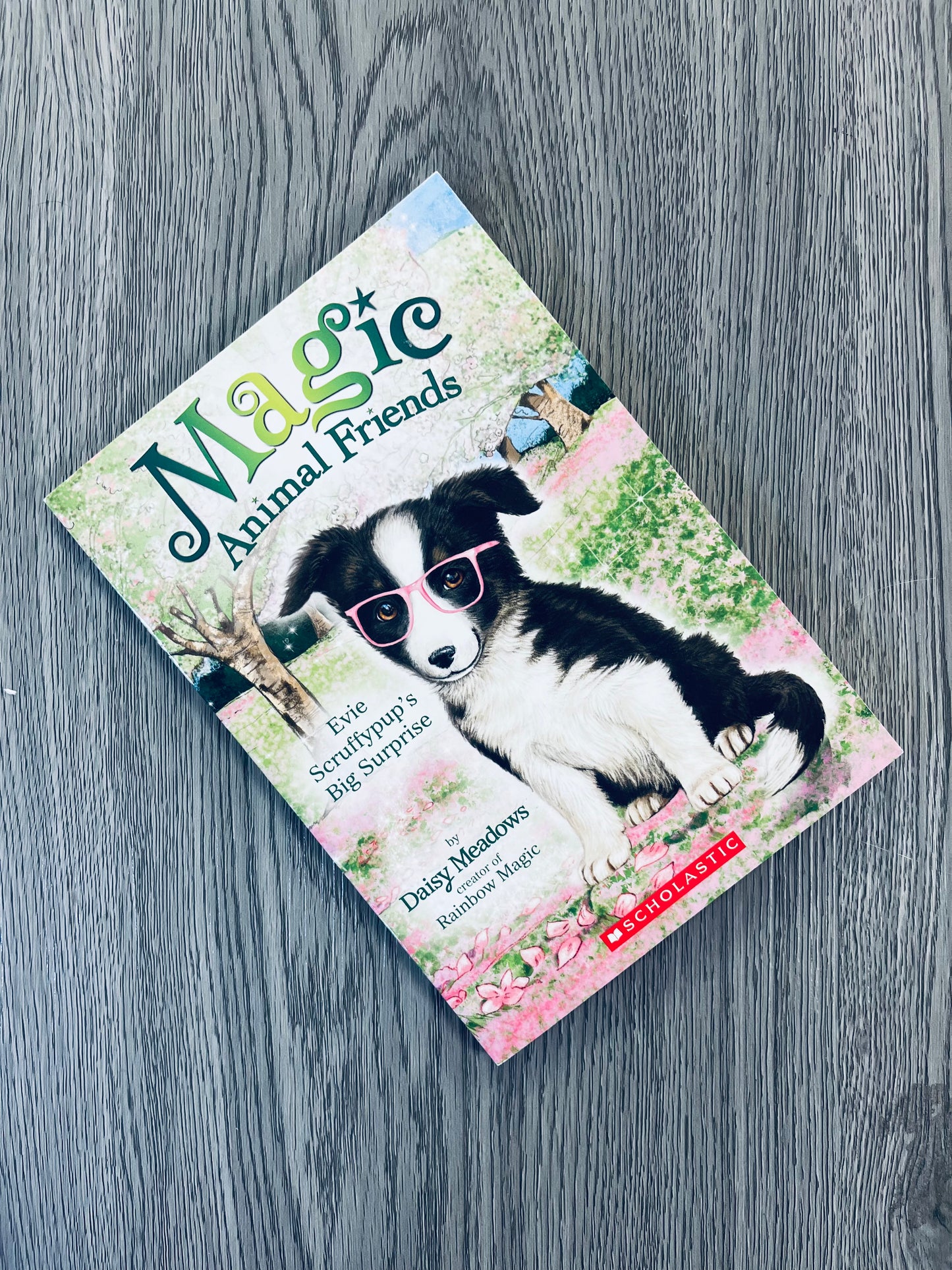 Magic Animal Friends Series by Daisy Meadows-Used