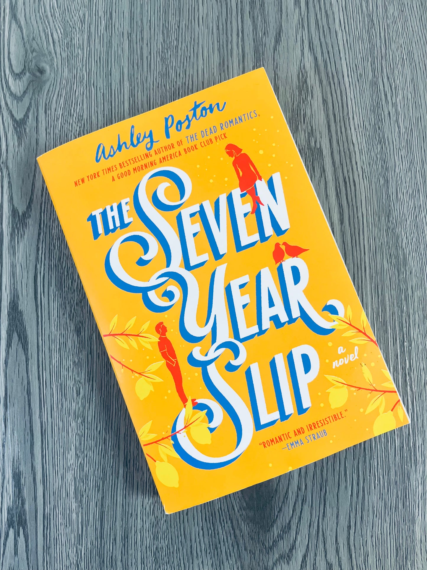 The Seven Year Slip by Ashely Poston-Used
