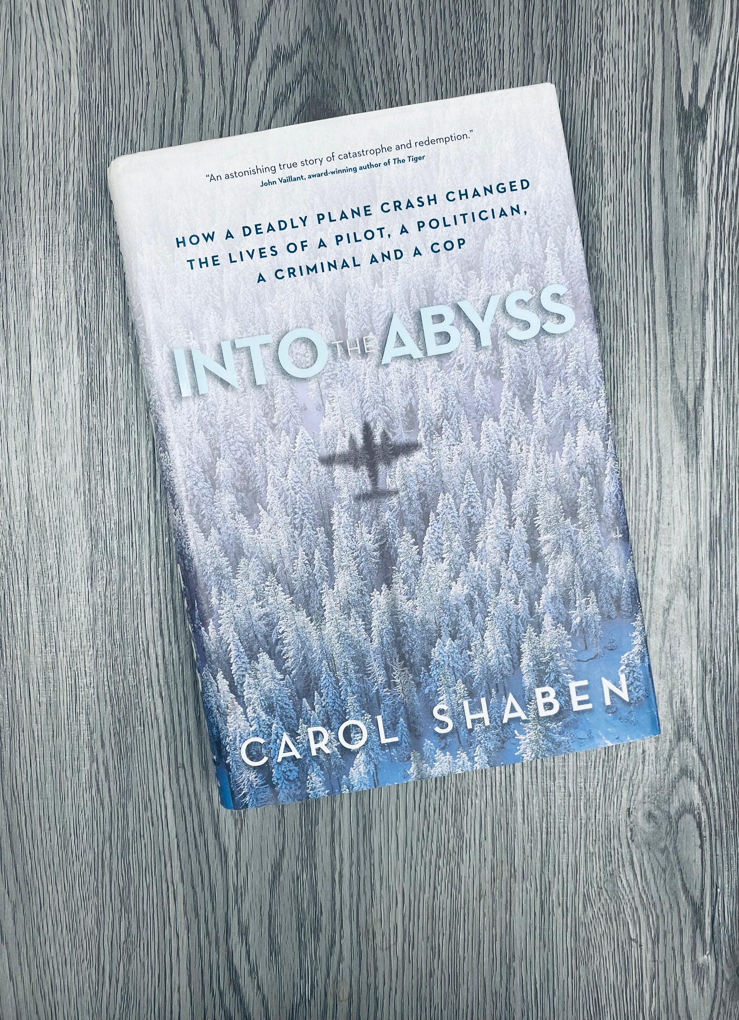 Into The Abyss: How a Deadly Plane Crash Changed the Lives of a Pilot, a Politician, a Criminal and a Cop by Carol Sheban-Hardcover Used