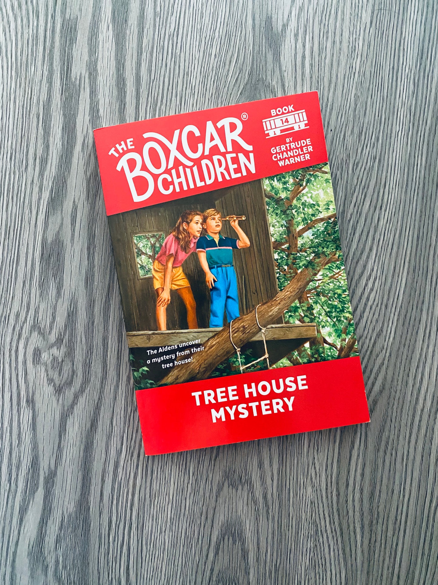 The Boxcar Children by Gertrude Chandler Warner
