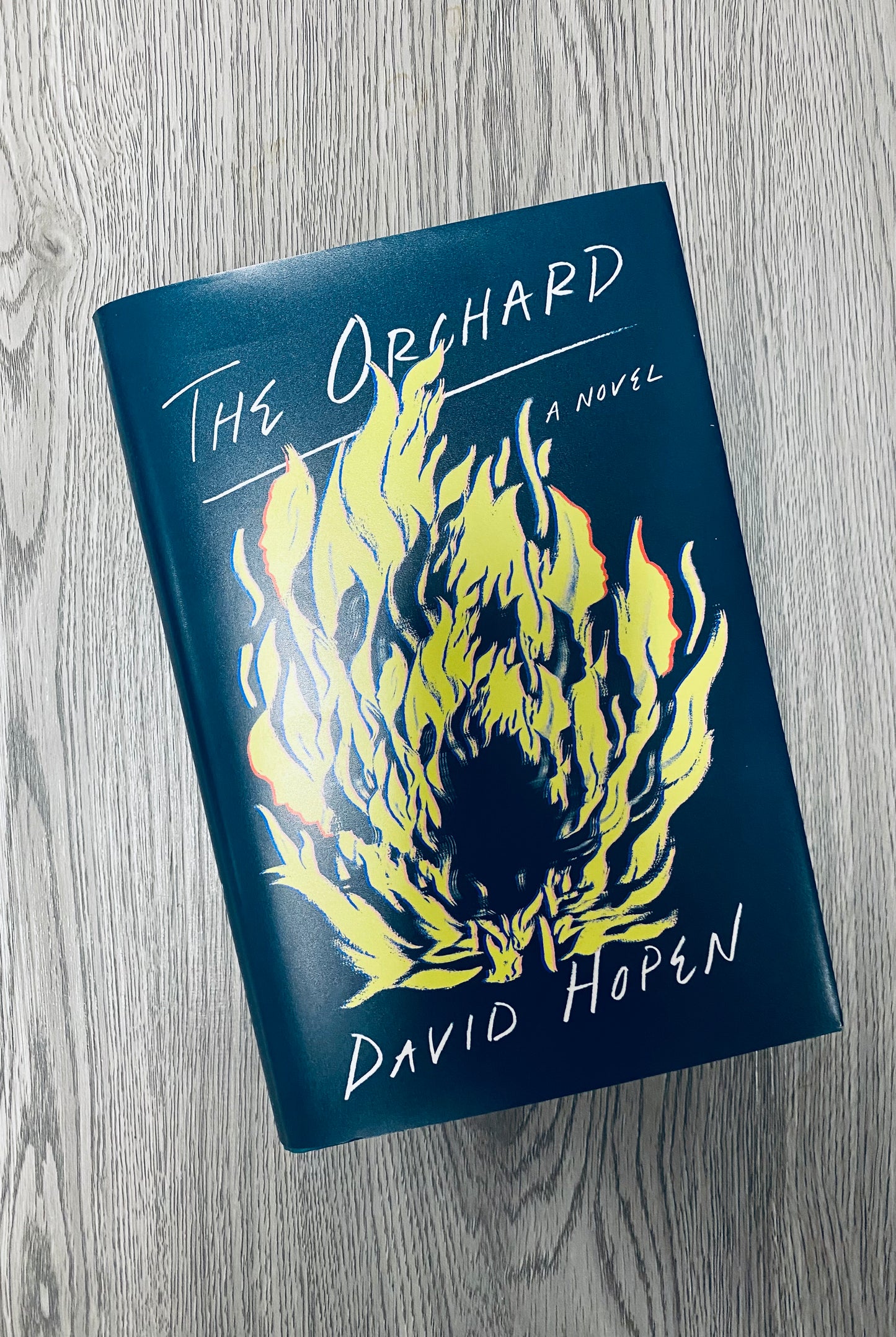 The Orchard by David Hopen-Hardcover Used