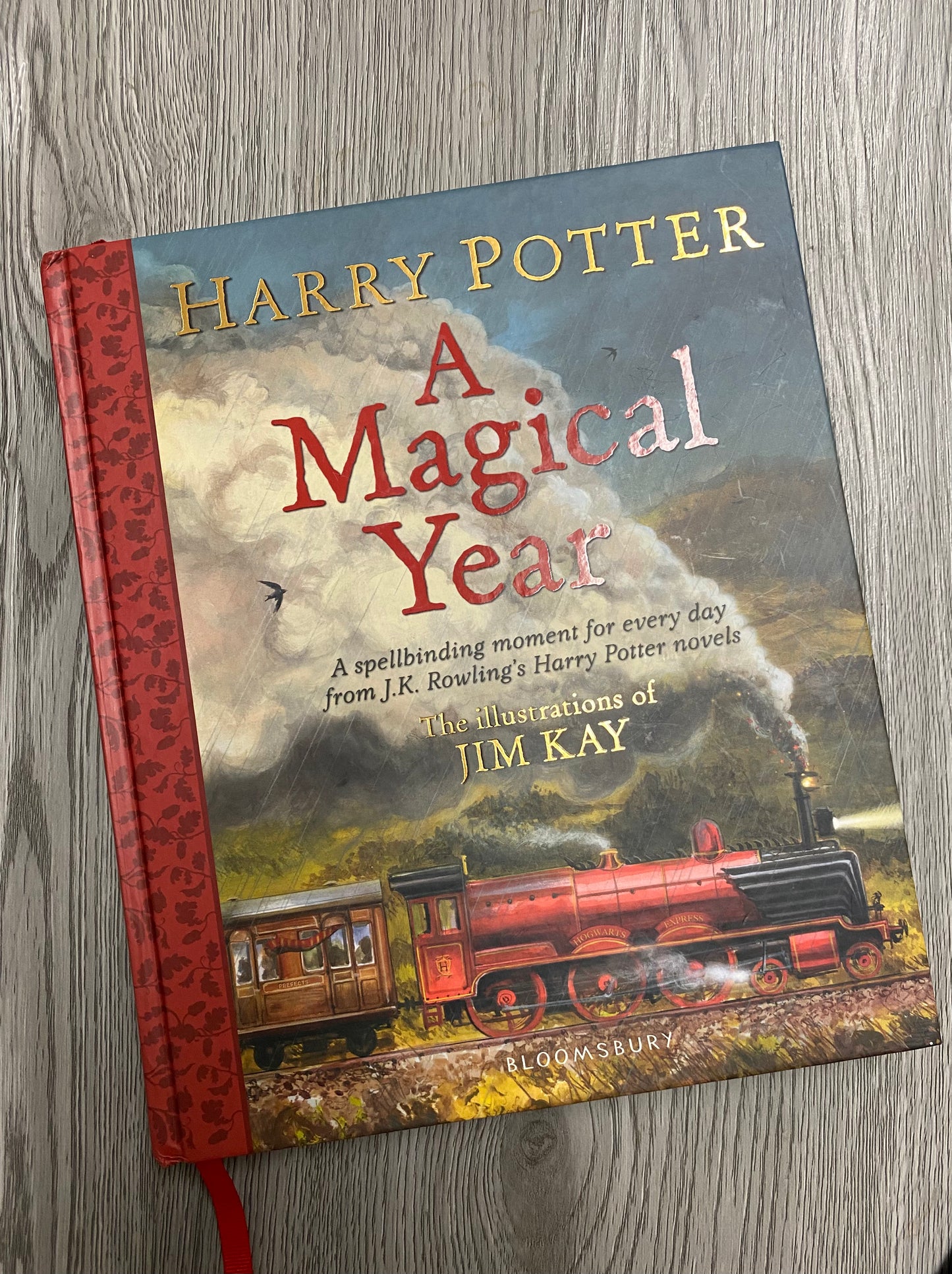 Harry Potter: A Magical Year – The Illustrations of Jim Kay - Hardcover Used