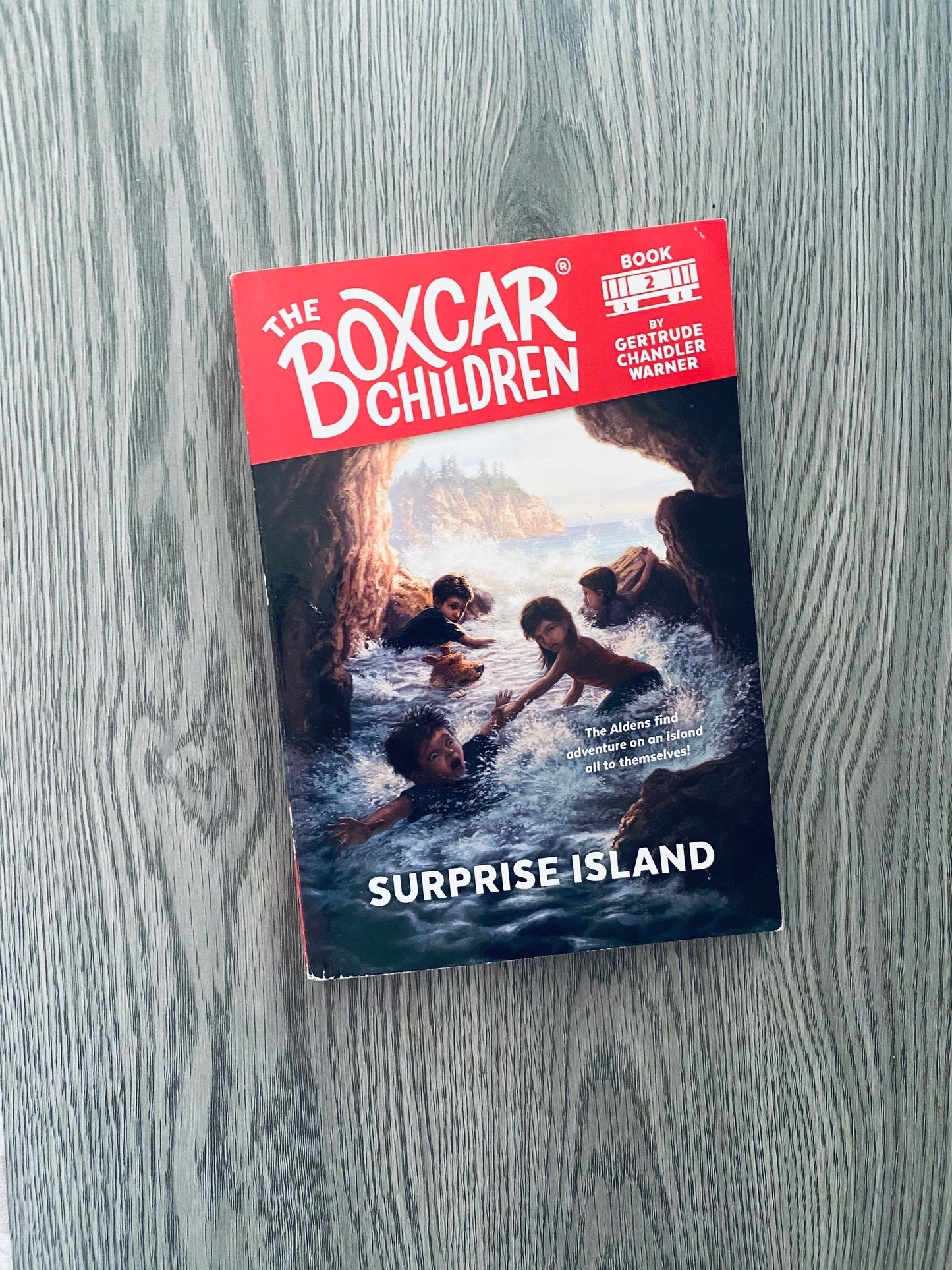 The Boxcar Children by Gertrude Chandler Warner