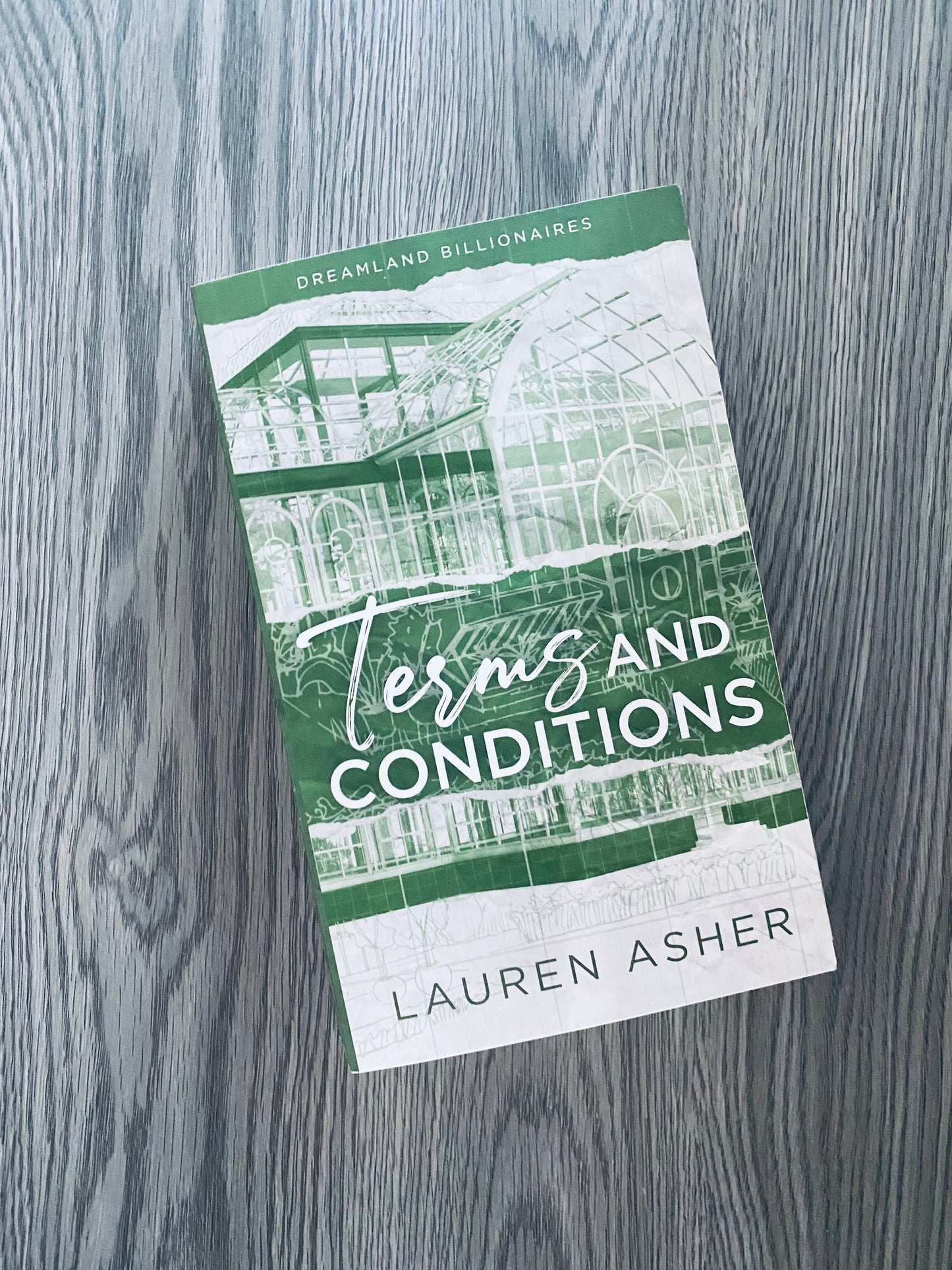 Terms and Conditions (Dreamland Billionaires #2) by Lauren Asher-Used