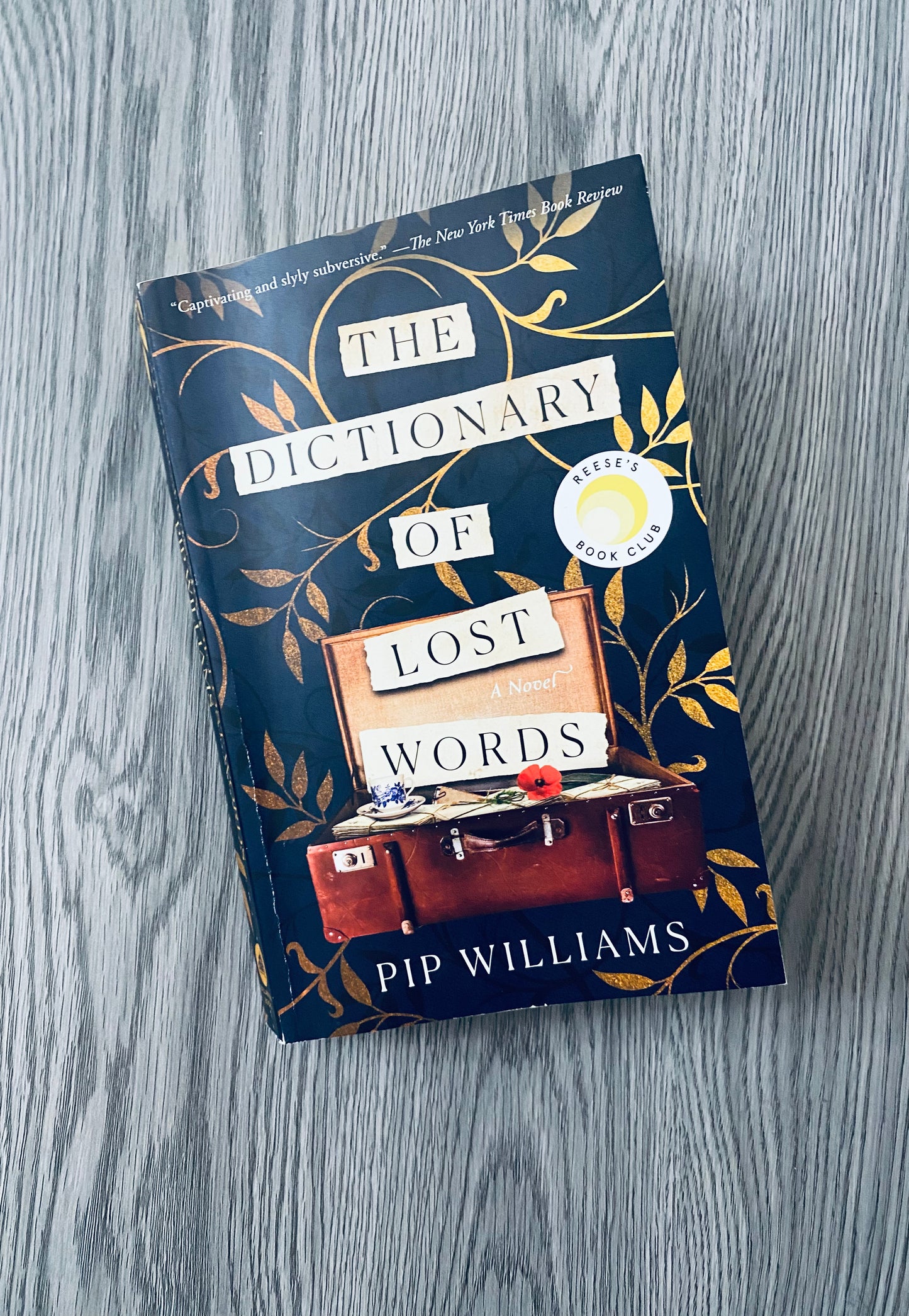 The Dictionary of Lost Words by Pip Williams-Used