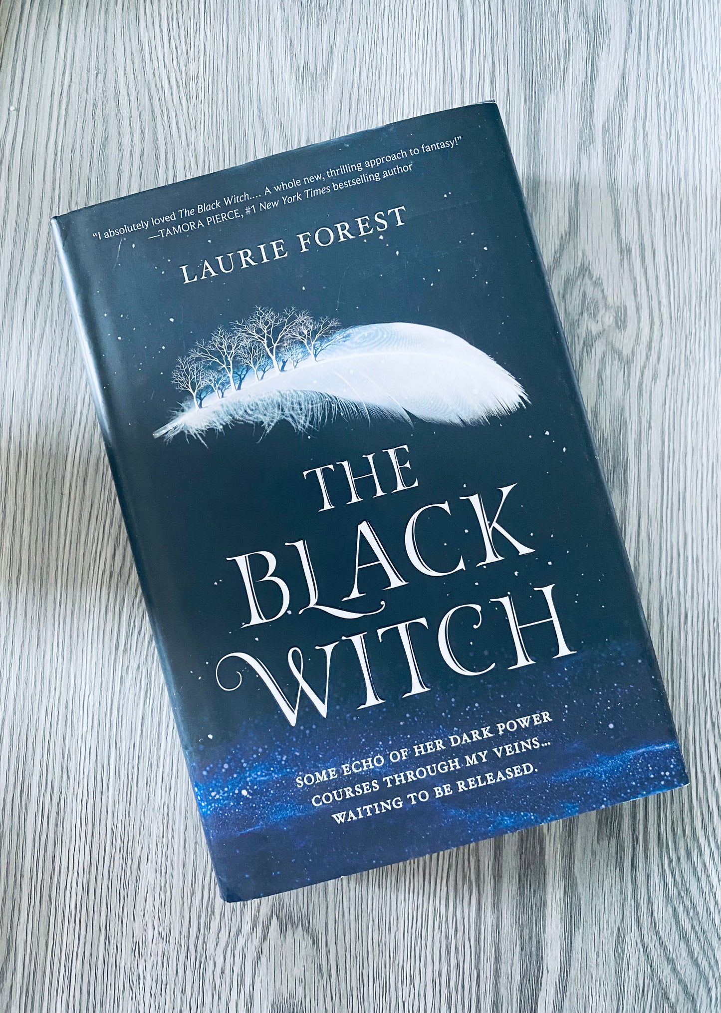 The Black Witch ( The Black Witch Chronicles #1) by Laurie Forest - Used