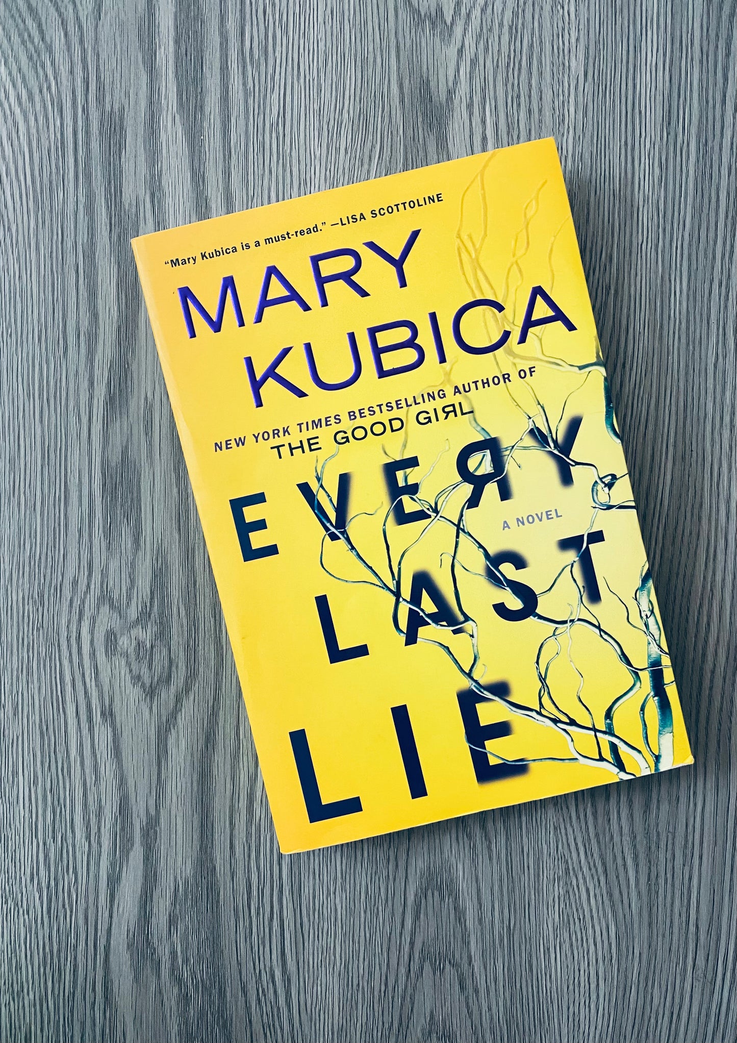 Every Last Lie by Mary Kubica-Used