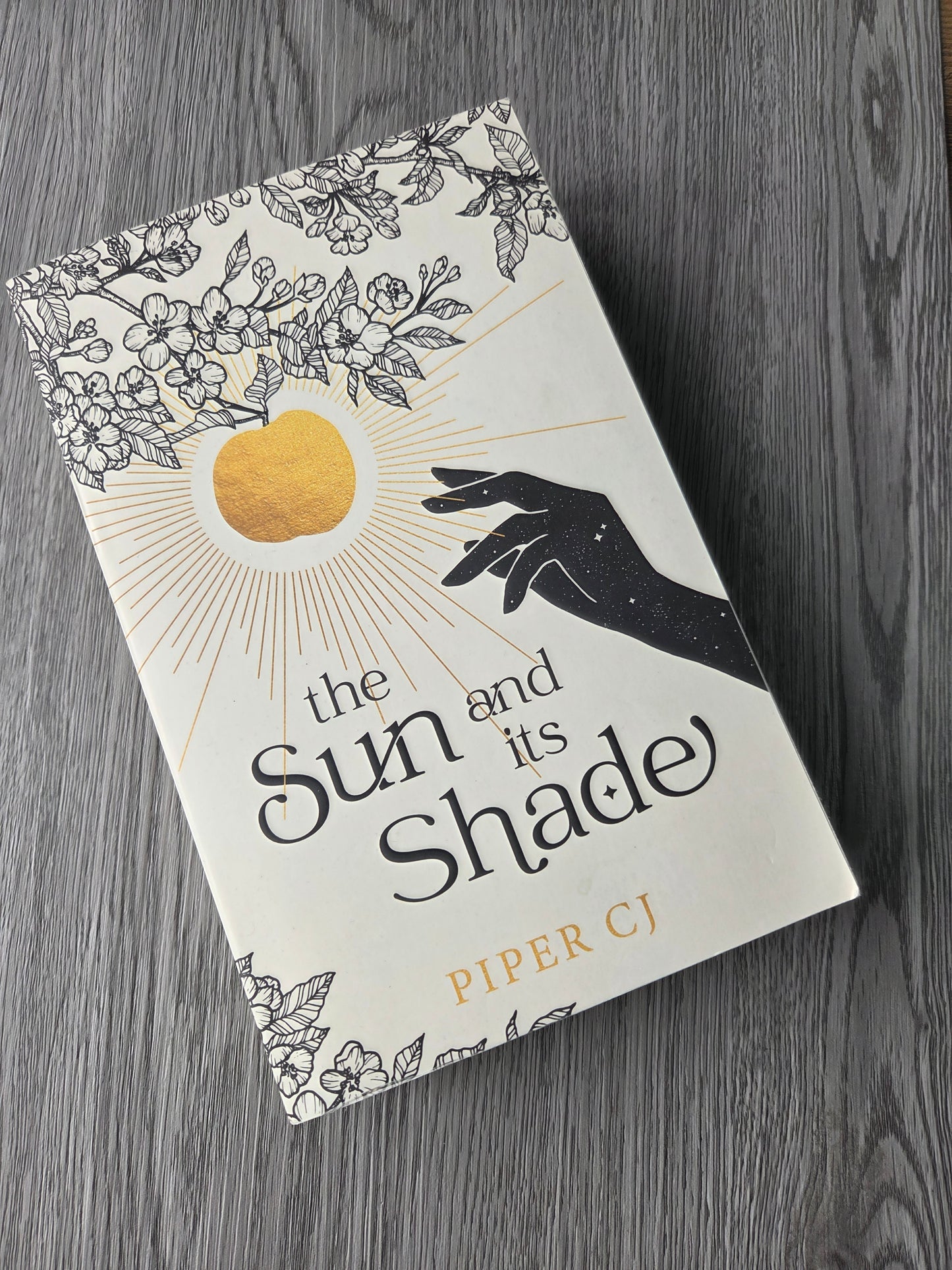The Sun and its Shade( The Night and Its Moon #2) by Piper CJ-Used