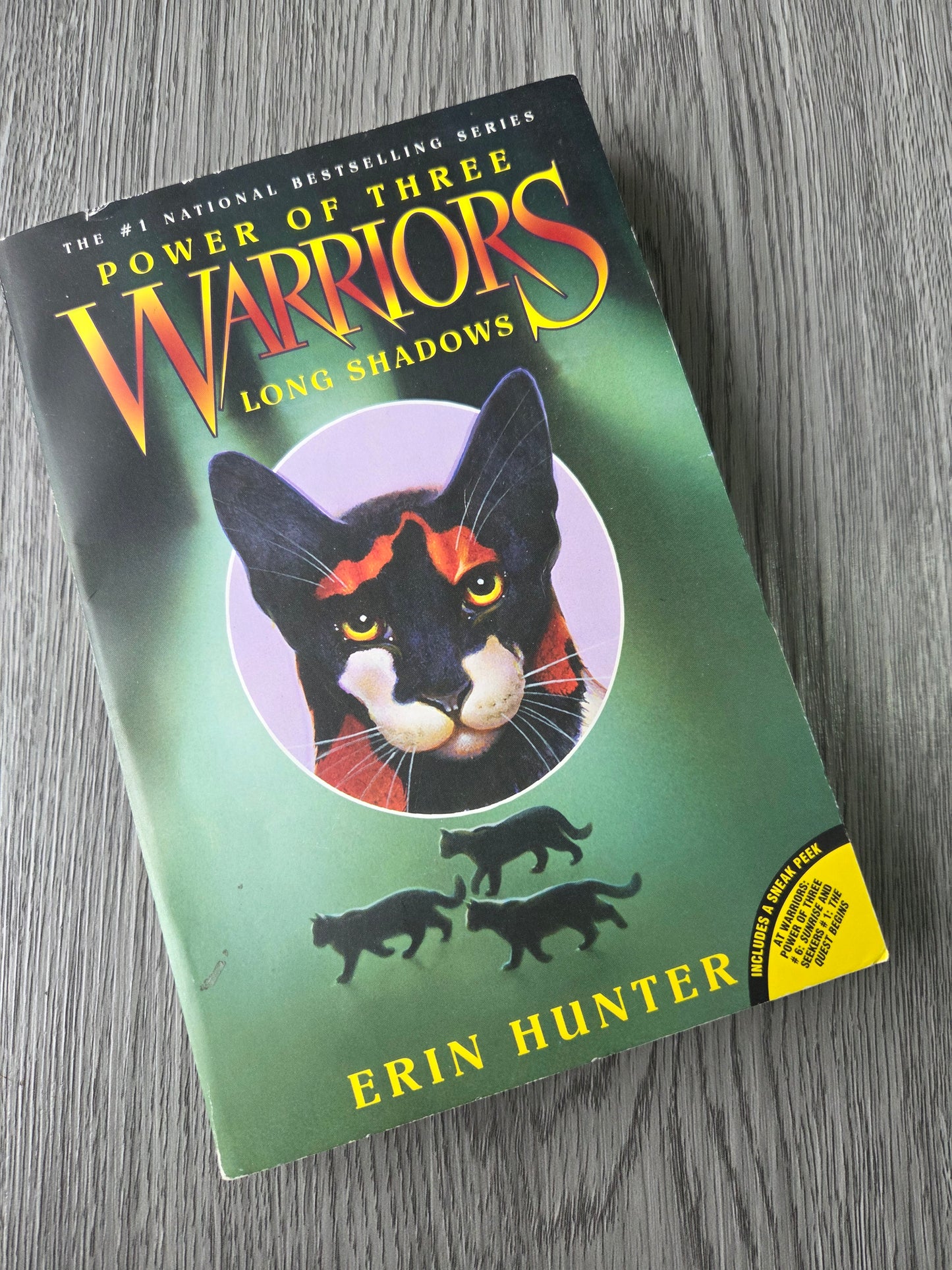 Power of Three Warriors Series by Erin Hunter